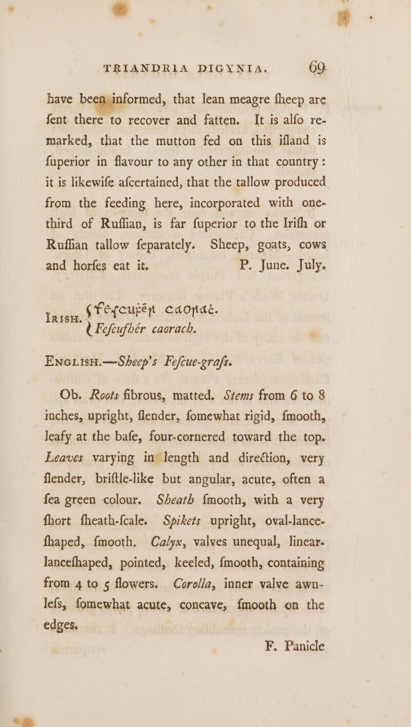 * , TRIANDRIA DIGXYNIA. 69 have been, informed, that lean meagre fheep are fent there to recover and fatten. It is alfo re- marked, that the mutton fed on this ifland is fuperior in flavour to any other in that country : it is likewife afcertained, that the tallow produced from the feeding here, incorporated with one- third of Ruffian, is far fuperior to the Irith or Ruffian tallow feparately. Sheep, goats, cows and horfes eat it. P. June. July. TRisH GFegcuper CAOpde. ; d Fefcufhér caorach. Enc LIsH.—Sheep’s Fefcue-grafs. Ob. Roots fibrous, matted. Stems from 6 to 8 inches, upright, flender, fomewhat rigid, {fmooth, leafy at the bafe, four-cornered toward the top. Leaves varying in length and dire&amp;tion, very flender, briftle-like but angular, acute, often a fea green colour. Sheath fmooth, with a very fhort fheath-fcale. Spikets upright, oval-lance- fhaped, fmooth. Calyx, valves unequal, linear. lancefhaped, pointed, keeled, fmooth, containing from 4 to 5 flowers. Corolla, inner valve awn- lefs, fomewhat acute, concave, fmooth on the edges. | F. Panicle