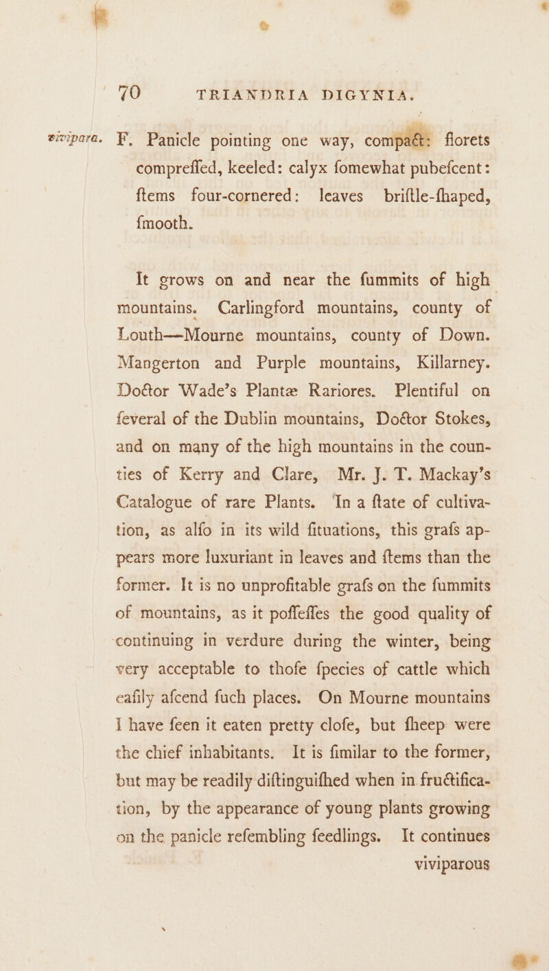 sivipara. F. Panicle pointing one way, comy a&amp;: florets comprefied, keeled: calyx fomewhat pubefcent: {tems four-cornered: leaves briftle-fhaped, {mooth. It grows on and near the fummits of high mountains. Carlingford mountains, county of Louth—Mourne mountains, county of Down. Mangerton and Purple mountains, Killarney. Doétor Wade’s Plante Rariores. Plentiful on feveral of the Dublin mountains, Doétor Stokes, and on many of the high mountains in the coun- ties of Kerry and Clare, Mr. J. T. Mackay’s Catalogue of rare Plants. Ina ftate of cultiva- tion, as alfo in its wild fituations, this grafs ap- pears more luxuriant in leaves and {tems than the former. It is no unprofitable grafs on the fummits of mountains, as it poffefles the good quality of very acceptable to thofe fpecies of cattle which eafily afcend fuch places. On Mourne mountains i have feen it eaten pretty clofe, but fheep were the chief inhabitants. It is fimilar to the former, but may be readily diftinguifhed when in fruétifica- tion, by the appearance of young plants growing on the panicle refembling feedlings. It continues viviparous