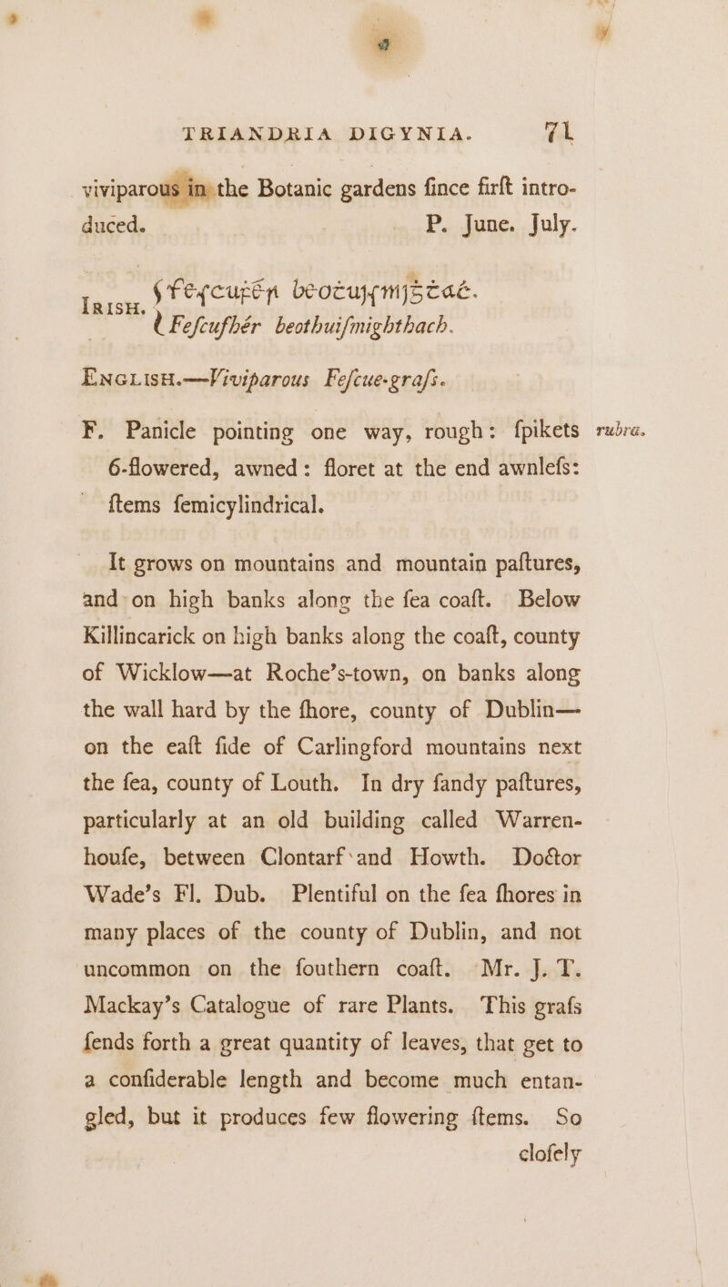 viviparous in» the Botanic gardens fince firft intro- duced. P. June. July. “fe peupey beocuymjpstaé. IRISH. d Fefeufhér beothuifmighthach. EncLisH.—Viviparous Fe/cue-grafs. F. Panicle pointing one way, rough: fpikets 6-flowered, awned: floret at the end awnlefs: {tems femicylindrical. It grows on mountains and mountain paftures, and-on high banks along the fea coaft. Below Killincarick on high banks along the coaft, county of Wicklow—at Roche’s-town, on banks along the wall hard by the fhore, county of Dublin— on the eaft fide of Carlingford mountains next the fea, county of Louth. In dry fandy paftures, particularly at an old building called Warren- hovfe, between Clontarf‘and Howth. Dodétor Wade’s Fl. Dub. Plentiful on the fea fhores in many places of the county of Dublin, and not uncommon on the fouthern coaft. Mr. J. T. Mackay’s Catalogue of rare Plants. This grafs fends forth a great quantity of leaves, that get to a confiderable length and become much ‘entan- gled, but it produces few flowering ftems. So clofely rubra.