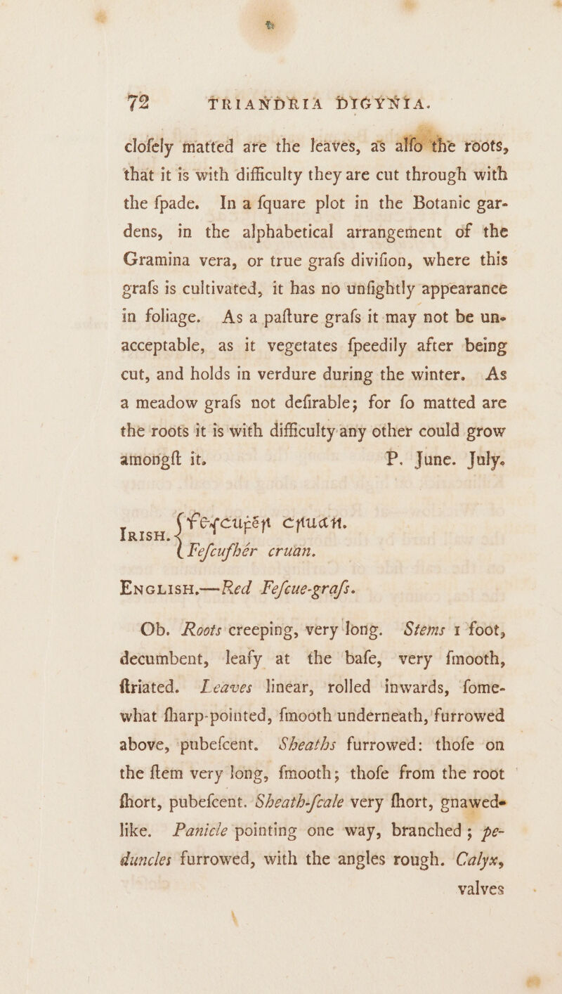 clofely matted ate the leaves, a8 2 Ifo +f © roots, that it is with difficulty they are cut through with the fpade. In afquare plot in the Botanic gar- dens, in the alphabetical arrangement of the Gramina vera, or true grafs divifion, where this erafs is cultivated, it has no unfightly appearance in foliage. As a pafture grafs it may not be un- acceptable, as it vegetates fpeedily after being cut, and holds in verdure during the winter. As a meadow grafs not defirable; for fo matted are the roots it is with difficulty any other could grow amoneft it. P. June. July. ee re Cyudn. Fefcufhér cruan. EncuisH.—Red Fe/cue-grafs. Ob. Roots creeping, very lone. Stems 1 foot, decumbent, leafy at the bafe, very fmooth, ftriated. Leaves linear, rolled ‘inwards, ‘fome- what fharp-pointed, fmooth underneath, ‘furrowed above, ‘pubefcent. Sheaths furrowed: thofe on the ftem very long, fmooth; thofe from the root — fhort, pubefcent. Sheath -{cale very fhort, gnawede like. Panicle pointing one way, branched; pe- duncles farrowed, with the angles rough. Calyx, valves