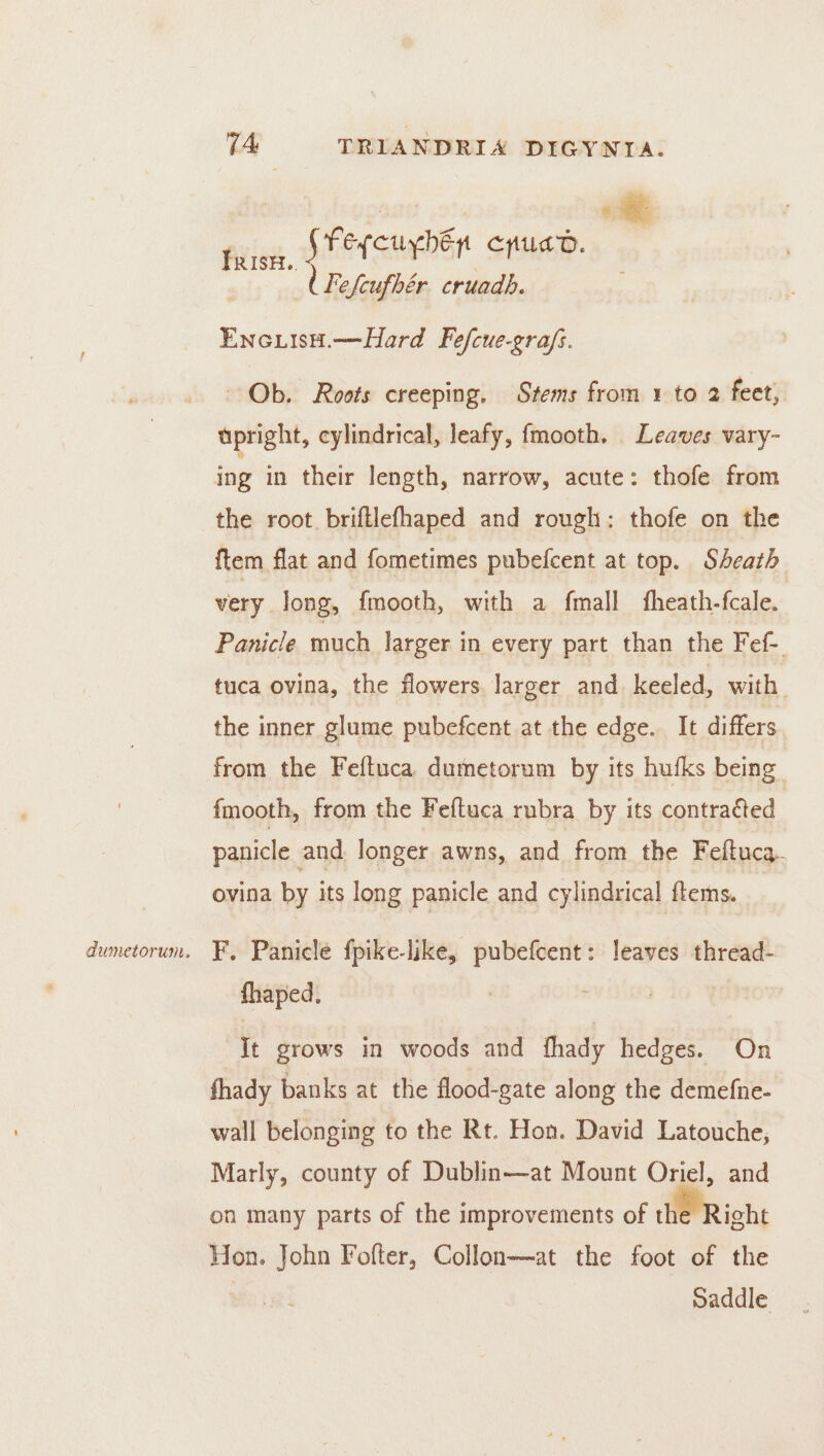 Batt 4 7 7 (Fergcuphép cpuad. FRisx. Fe fcufhér. cruadh. EncuisH.—Hard Fefcue-gra/s. Ob. Roots creeping. Stems from 1 to 2 feet, upright, cylindrical, leafy, fmooth. Leaves vary- ing in their length, narrow, acute: thofe from the root. briftlefhaped and rough: thofe on the ftem flat and fometimes pubefcent at top. Sheath very long, {mooth, with a fmall heath. fcale. Panicle much larger in every part than the Fef- tuca ovina, the flowers. larger and keeled, with the inner glume pubefcent at the edge. It differs from the Feftuca dumetorum by its hufks being fmooth, from the Feftuca rmbra by its contracted panicle and longer awns, and from the Feftuca. ovina by its long panicle and cylindrical ftems. dumetorun. F, Panicle fpike-like, as aie: leaves thread- fhaped, | It grows in woods and fhady hedges. On fhady banks at the flood-gate along the demefne- wall belonging to the Rt. Hon. David Latouche; Marly, county of Dublin—at Mount Oriel, and on many parts of the improvements of the Right Hon. John Fofter, Collon—at the foot of the | Saddle