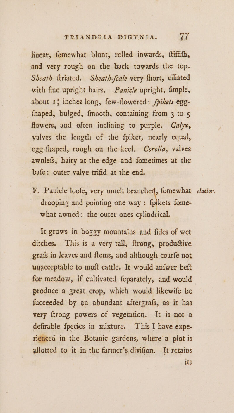 linear, fomewhat blunt, rolled inwards, {tifhth, and very rough on the back towards the top. Sheath ftriated. Sheath-fcale very fhort, ciliated with fine upright hairs. Panicle upright, fimple, about £3 inches long, few-flowered: /pikets egg- _fhaped, bulged, {mooth, containing from 3 to 5 flowers, and often inclining to purple. Calyx, valves the length of the fpiket, nearly equal, ege-fhaped, rough on the keel. Corolla, valves awnlefs, hairy at the edge and fometimes at the bafe: outer valve trifid at the end. ¥, Panicle loofe, very much branched, fomewhat drooping and pointing one way: fpikets fome- } ag what awned: the outer ones cylindrical. It grows in boggy mountains and fides of wet ditches. This is a very tall, ftrong, produétive unacceptable to moft cattle. It would anfwer beft for meadow, if cultivated feparately, and would produce a great crop, which would lkewife be fucceeded by an abundant aftergrafs, as it has very ftrong powers of vegetation. It is not a defirable fpectes in mixture. This I have expe- rienced in the Botanic gardens, where a plot is allotted to it in the farmer’s divifion. It retains Hts elatior.