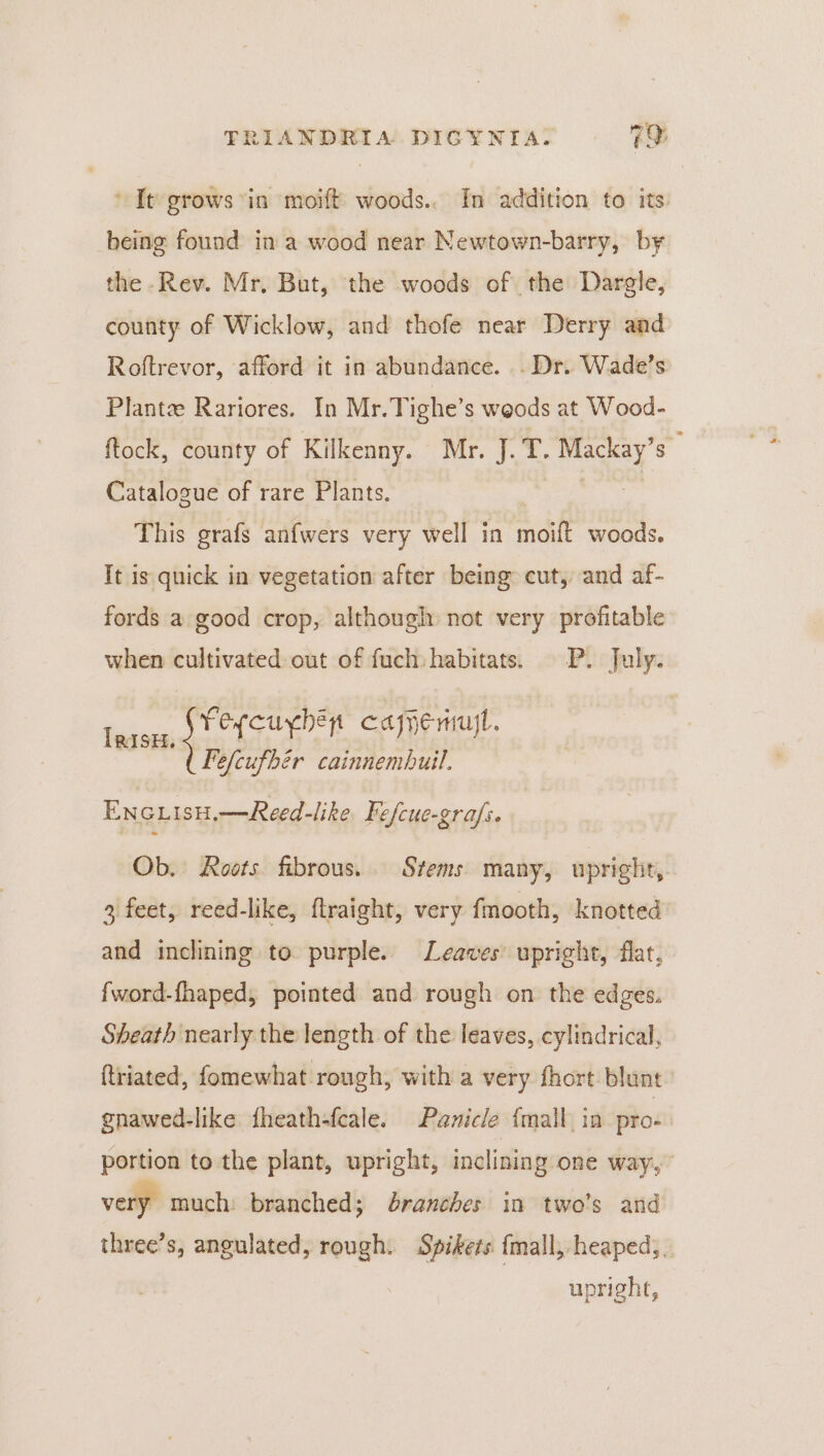 It grows in moift woods. In addition to its being found in a wood near Newtown-barry, by the Rev. Mr, But, the woods of the Dargle, county of Wicklow, and thofe near Derry and Roftrevor, afford it in abundance. . Dr. Wade’s Plante Rariores. In Mr.Tighe’s weods at Wood- ftock, county of Kilkenny. Mr. J. T. iy a Catalogue of rare Plants. This grafs anfwers very well in moilt woods. It is quick in vegetation after being cut, and af- fords a good crop, although not very profitable when cultivated out of fuch habitats. P. July. IRisH Pat capnemujl. is Fefcufhér cainnembuil. ENGLisy,—Reed-like Fefcue-grafs. Ob. Roots fibrous. Stems many, upright, 3 feet, reed-like, flraight, very fmooth, knotted and inclining to. purple. Leaves: upright, flat, fword-fhaped, pointed and rough on the edges. Sheath nearly the length of the leaves, cylindrical, ftriated, fomewhat rough, with a very fhort blunt: gnawed-like fheath-feale. Panicle {mall. in pro- portion to the plant, upright, inelinin gone way, very much: branched; branches in two’s and three’s, angulated, rough. Spikers {mall, heaped, upright,