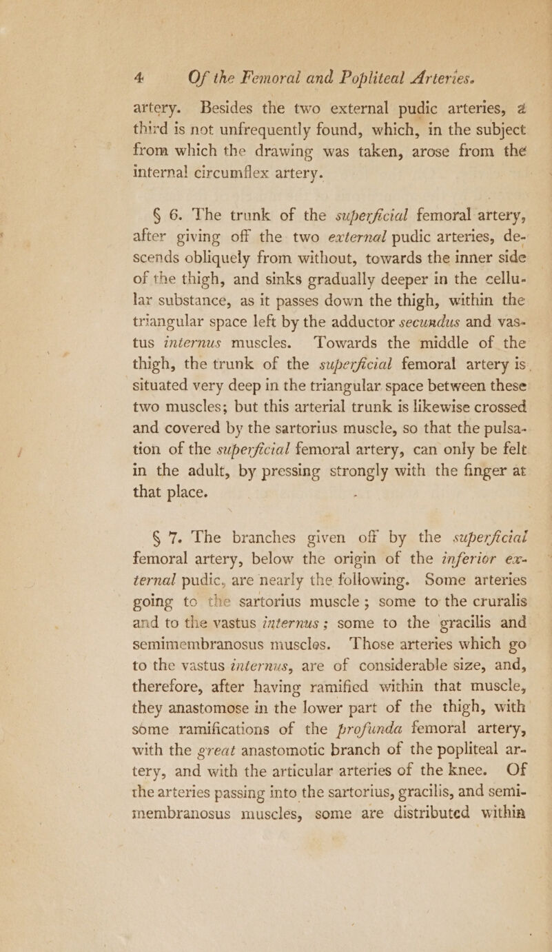 artery. Besides the two external pudic arteries, 2 third is not unfrequently found, which, in the subject from which the drawing was taken, arose from the internal circumflex artery. § 6. The trunk of the superficial femoral artery, after giving off the two external pudic arteries, de- scends obliquely from without, towards the inner side of the thigh, and sinks gradually deeper in the cellu- lar substance, as it passes down the thigh, within the triangular space left by the adductor secuadus and vas- tus internus muscles. ‘Towards the middle of the situated very deep in the triangular space between these two muscles; but this arterial trunk is likewise crossed and covered by the sartorius muscle, so that the pulsa- tion of the superficial femoral artery, can only be felt in the adult, by pressing strongly with the finger at that place. § 7. The branches given off by the superficial femoral artery, below the origin of the inferior ex- ternal pudic, are nearly the following. Some arteries going to the sartorius muscle; some to the cruralis and to the vastus zuternus; some to the gracilis and semimembranosus muscles. Those arteries which go to the vastus internus, are of considerable size, and, therefore, after having ramified within that muscle, they anastomose in the lower part of the thigh, with some ramifications of the profunda femoral artery, with the great anastomotic branch of the popliteal ar- tery, and with the articular arteries of the knee. Of the arteries passing into the sartorius, gracilis, and semi- membranosus muscles, some are distributed withia