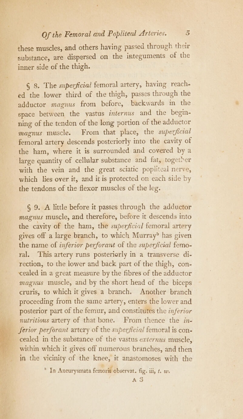 these muscles, and others having passed through their ‘substance, are dispersed on the integuments of the inner side of the thigh. § 8. The superficial femoral artery, having reach- ed the lower third of the thigh, passes through the adductor magnus from before, backwards m the space between the vastus internus and the begin- ning of the tendon of the long portion of the adductor magnus muscle. From that place, the superficial femoral artery descends posteriorly into the cavity of the ham, where it is surrounded and covered by a large quantity of cellular substance and fat, toget&gt;er with the vein and the great sciatic popliteal nerve, which lies over it, and it is protected on each side by the tendons of the flexor muscles of the leg. § 9. A little before it passes through the adductor magnus muscle, and therefore, before it descends into the cavity of the ham, the superficial femoral artery gives off a large branch, to which Murray” has given the name of inferior perforant ot the superficial femo- ral. ‘This artery runs posteriorly in a transverse di- rection, to the lower and back part of the thigh, con- ‘cealed in a great measure by the fibres of the adductor magnus muscle, and by the short head of the biceps cruris, to which it gives a branch. Another branch proceeding from the same artery, enters the lower and posterior part of the femur, and constitutes the inferior nutritious artery of that bone. From thence the in- _ ferior perforant artery of the superficial femoral is con- a cealed in the substance of the vastus exzernus muscle, _ within which it gives off numerous branches, and then |. In the vicinity of the knee, it anastomoses with the : a 4 In Aneurysmata femoris observat. fig. ill, f. w. AS