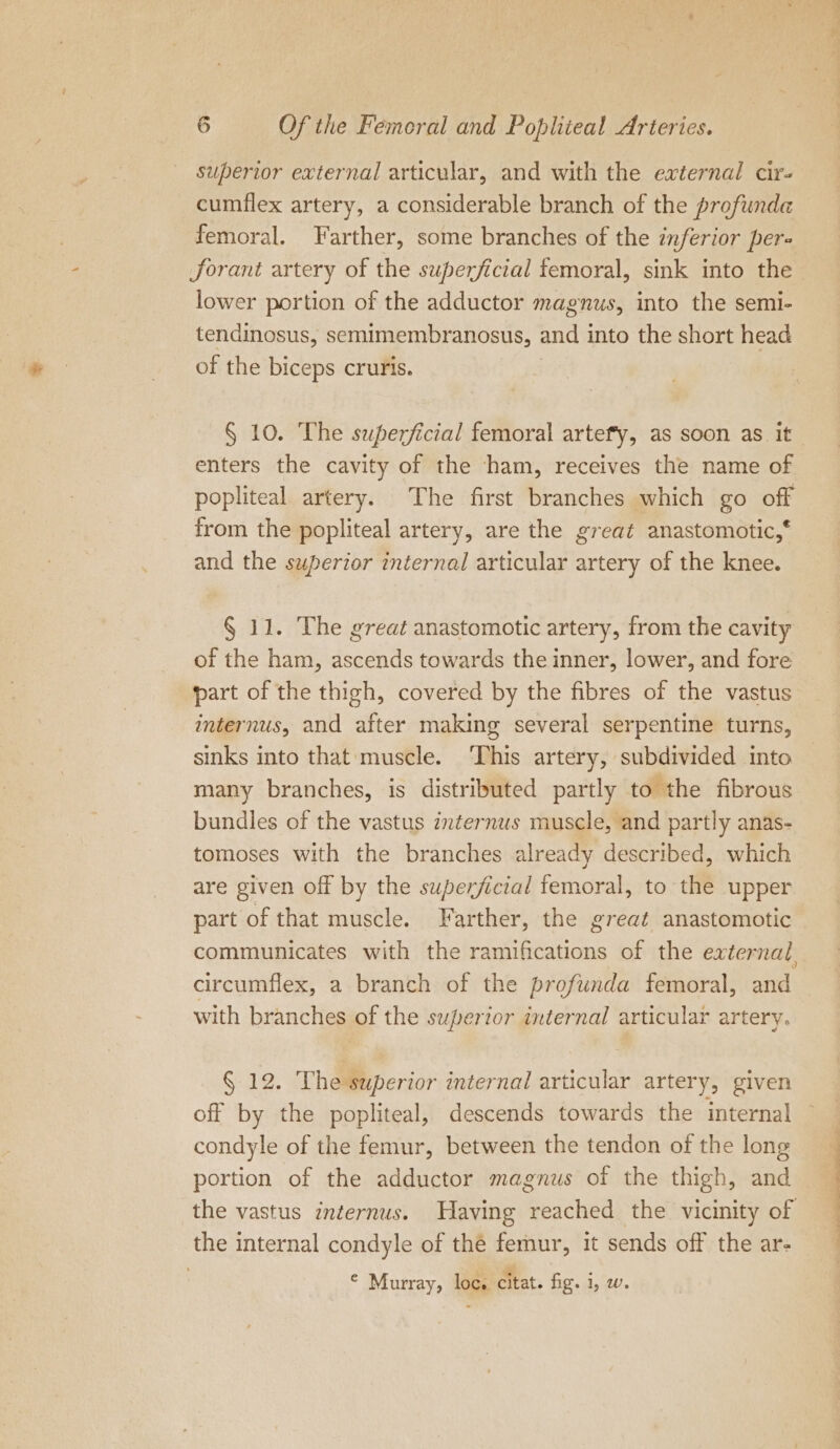 superior external articular, and with the external cir- cumflex artery, a considerable branch of the profunda femoral. Farther, some branches of the inferior per- forant artery of the superficial femoral, sink into the. lower portion of the adductor magnus, into the semi- tendinosus, semimembranosus, and into the short head of the biceps cruris. § 10. The superficial femoral artefy, as soon as it enters the cavity of the ham, receives the name of popliteal artery. The first branches which go off from the popliteal artery, are the great anastomotic,‘ and the superior internal articular artery of the knee. § 11. The great anastomotic artery, from the cavity of the ham, ascends towards the inner, lower, and fore part of the thigh, covered by the fibres of the vastus internus, and after making several serpentine turns, sinks into that muscle. ‘This artery, subdivided into many branches, is distributed partly to the fibrous bundles of the vastus internus muscle, and partly anas- tomoses with the branches already described, which are given off by the superficial femoral, to the upper part of that muscle. Farther, the great anastomotic communicates with the ramifications of the external, circumflex, a branch of the profunda femoral, and with branches of the superior internal articular artery. § 12. The superior internal articular artery, given off by the popliteal, descends towards the internal condyle of the femur, between the tendon of the long portion of the adductor magnus of the thigh, and the vastus internus. Having reached the vicinity of the internal condyle of the femur, it sends off the ar- © Murray, loc. citat. fig. i, w
