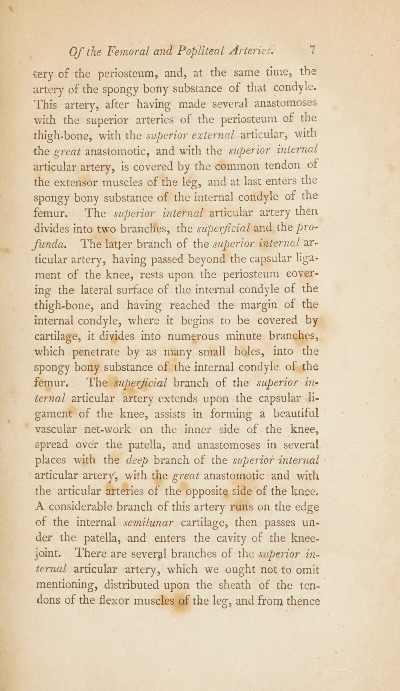 tery of the periosteum, and, at the same time, the This artery, after having made several anastomoses with the superior arteries of the periosteum of the thigh-bone, with the superior external articular, with the great anastomotic, and with the superior internal articular artery, is covered by the common tendon of the extensor muscles of the leg, and at last enters the spongy bony substance of the internal condyle of the femur. ‘The superior internal articular artery then divides into two brancHes, the superficial and the pro- ticular artery, having passed beyond the capsular liga- ment of the knee, rests upon the periosteum cover- ing the lateral surface of the internal condyle of the thigh-bone, and having reached the margin of the internal condyle, where it begins to be covered by cartilage, it divides into numerous minute branches, which penetrate by as many small holes, into the spongy bony substance of the internal condyle of the femur. ‘The superficial branch of the superior in- ternal articular artery extends upon the capsular di- gament of the knee, assists in forming a beautiful spread over the patella, and anastomoses in several places with the deep branch of the superior internal © the articular arteries of the opposite side of the knee. A considerable branch of this artery runs on the edge of the internal semi/unar cartilage, then passes un- der the patella, and enters the cavity of the knee- joint. ‘here are several branches of the superior in- ternal articular artery, which we ought not to omit mentioning, distributed upon the sheath of the ten- dons of the flexor muscles of the leg, and from thence