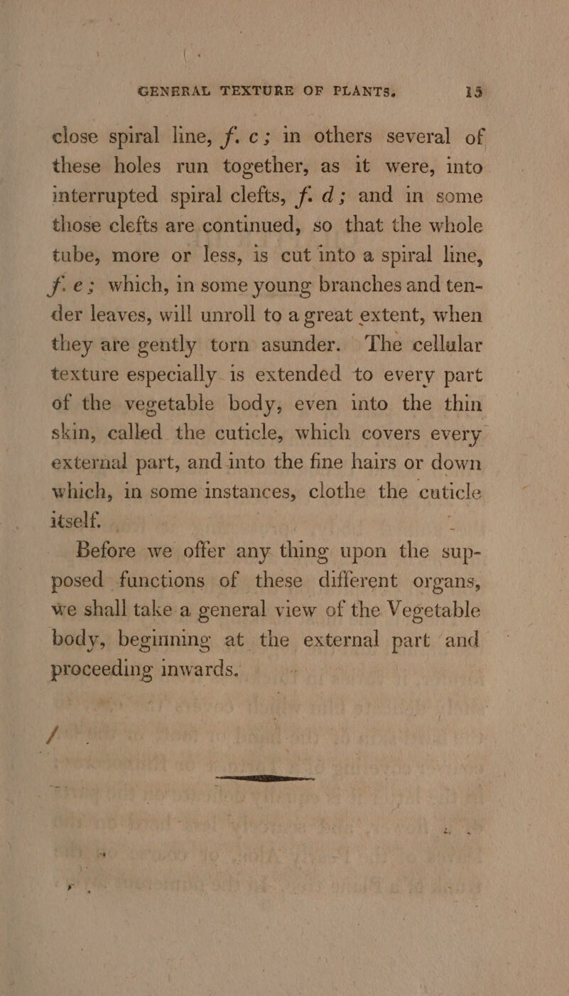 ite GENERAL TEXTURE OF PLANTS. 135 close spiral line, f. c; in others several of these holes run together, as it were, into interrupted spiral clefts, f. d; and in some those clefts are continued, so that the whole tube, more or less, is cut into a spiral line, fe; which, in some young branches and ten- der leaves, will unroll to a great extent, when they are gently torn asunder. The cellular texture especially. is extended to every part of the vegetable body, even into the thin skin, called the cuticle, which covers every external part, and into the fine hairs or down which, in some instances, clothe the cuticle uself. | i Before we offer any thing upon the sup- posed functions of these different organs, we shall take a general view of the Vegetable body, beginning at the external part and proceeding inwards. ‘A