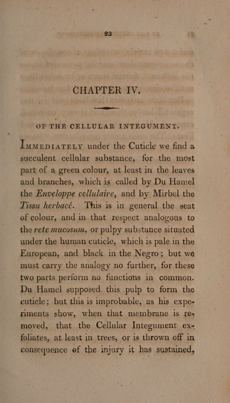 ne rks OF THE CELLULAR INTEGUMENT. IumeprtaTELy under the Cuticle we find a succulent cellular substance, for the most part of a green colour, at least in the leaves and branches, which is. called by Du Hamel the Enveloppe cellulaire, and by Mirbel the Tissu herbacé. This is in general the seat of colour, and in that respect analogous to the rete mucoswm, or pulpy substance situated under the human cuticle, which is pale in the European, and black in the Negro; but we must carry the analogy no further, for these two parts perform no functions in common. Du Hamel supposed this pulp to form the cuticle; but this is improbable, as his expe- riments show, when that membrane is re- moved, that the Cellular Integument ex-_ foliates, at least in trees, or is thrown off in consequence ef the injury it has sustained,