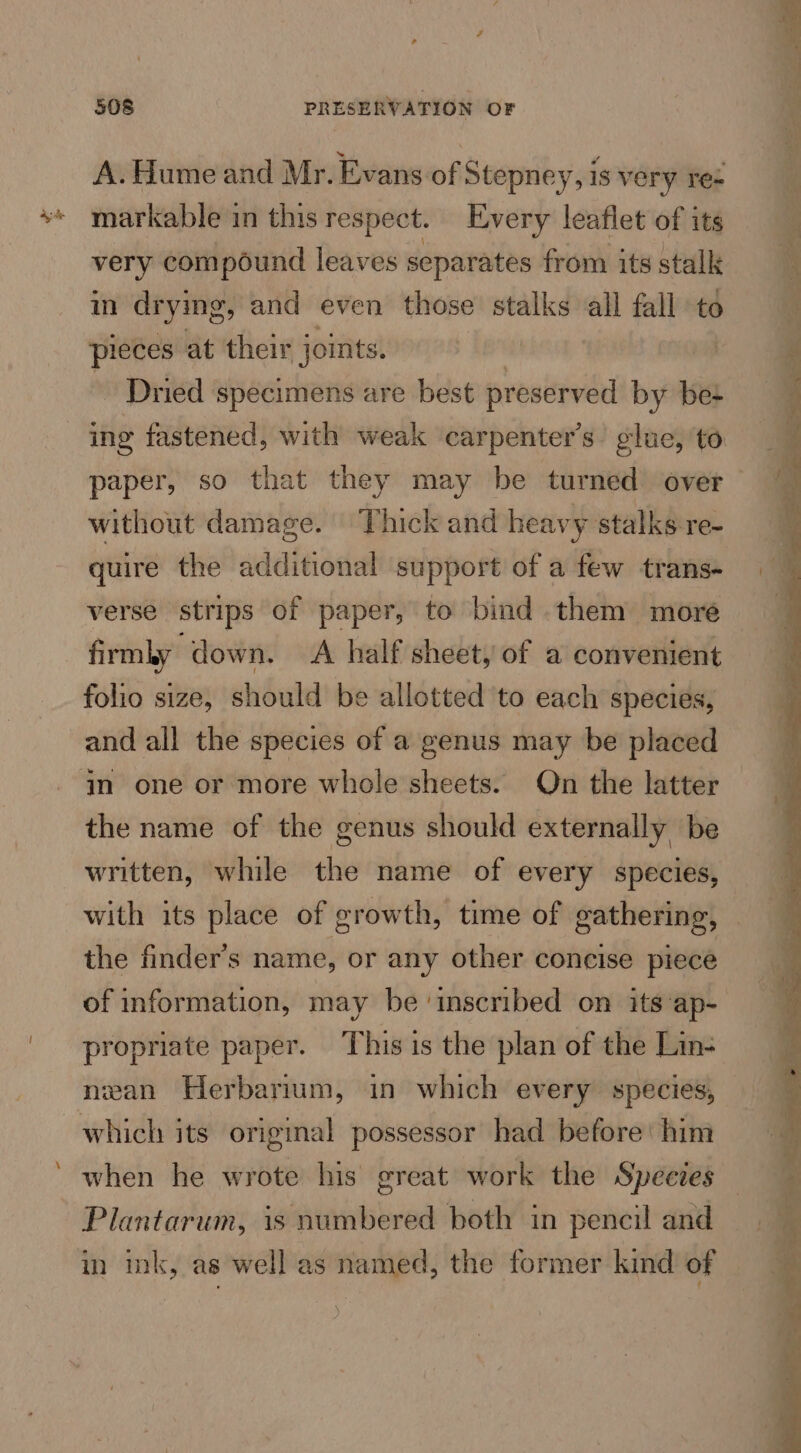 aye A. Hume and Mr. Evans of Stepney, is very re= markable in this respect. Every leaflet of its very compound leaves separates from its stalk in drying, and even those stalks all fall to pieces at their joints. | Dried specimens are best preserved by be+ paper, so that they may be turned over without damage. | Thick and heavy stalks re- quire the additional support of a few trans- verse strips of paper, to bind them more firmly down. A half sheet, of a convenient folio size, should be allotted to each species, and all the species of a genus may be placed the name of the genus should externally be written, while the name of every species, with its place of growth, time of gathering, the finder’s name, or any other concise piece propriate paper. This is the plan of the Lin- nean Herbarium, in which every species, which its original possessor had before: him when he wrote his great work the Species Plantarum, is numbered both in pencil and in ink, as well as named, the former kind of