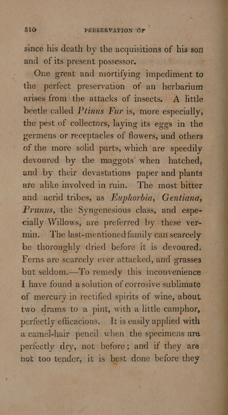 since hil Bie by the acquisitions of his sot and of j its present possessor. | the perfect preservation of an herbarium arises from the attacks of insects. A little beetle called Ptinus Fur is, more especially, the pest of collectors, laying its eges in the germens or receptacles of flowers, and others of the more solid parts, which ‘are speedily and: by their devastations paper and plants are alike involved in ruin. The most bitter and acrid tribes, as Euphorbia, Gentiana, Prunus, the Syngenesious class, and espe- cially Willows, are preferred by these ver- min. The last-mentioned family can sear cely be thoroughly dried before it is devoured: Ferns are scarcely ever attacked, and grasses but seldom.—To remedy this inconvenience i have found a solution of corrosive sublimate of mercury in rectified spirits of wine, about, two drams to a pint, with a little camphor, perfectly efficacious. It is easily applied with a camel-hair pencil when. the specimens are perfectly dry, not: before; and if they are not too tender, it is best done before they \
