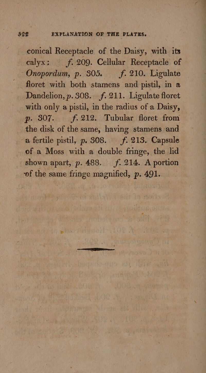 $22 EXPLANATION OF THE PLATES. conical Receptacle of the Daisy, with its Calyxisiiy) ft 209. Cellular Receptacle of Onopordum, p. $05. f. 210. Ligulate floret with both stamens and pistil, in a Dandelion, p. 308. f. 211. Ligulate floret with only a pistil, in the radius of a Daisy, op. 307. =f. 212. Tubular floret from the disk of the same, having stamens and -a fertile pistil, p. 308. _f. 213. Capsule of a Moss with a double fringe, the lid _ shown apart, p. 488. _f. 214. A portion ‘of the same fringe magnified, p. 491.