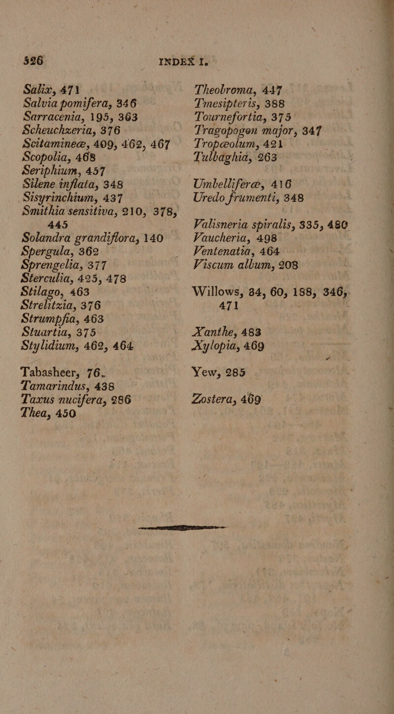 Salvia pomifera, 346 Sarracenia, 195, 363 Scheuchzeria, 376 Scitaminee, 409, 462, 467 Scopolia, 468 - Seriphium, 457 Silene inflata, 348 _Sisyrinchium, 437 Smithia sensitiva, 210, 378, 445 Solandra grandiflora, 140 Spergula, 362 — Sprengelia, 377 Sterculia, 425, 478 Stilago, 463 Strelitzia, 376 Strumpfia, 463 Stuartia, 375 , Stylidium, 462, 464 Tabasheer, 76. Tamarindus, 438 Taxus nucifera, 286 Thea, 450 Tmesipteris, 388 Tournefortia, 375 Tragopogen major, 347 Trope@olum, 421 Tulbaghia, 263 Umbellifer@, 416 Uredo frumenti, 348 Vaucheria, 498 Ventenatia, 464 Viscum allum, 208 471 Xanthe, 483 Aylopia, 469 Yew, 285 Zostera, 469