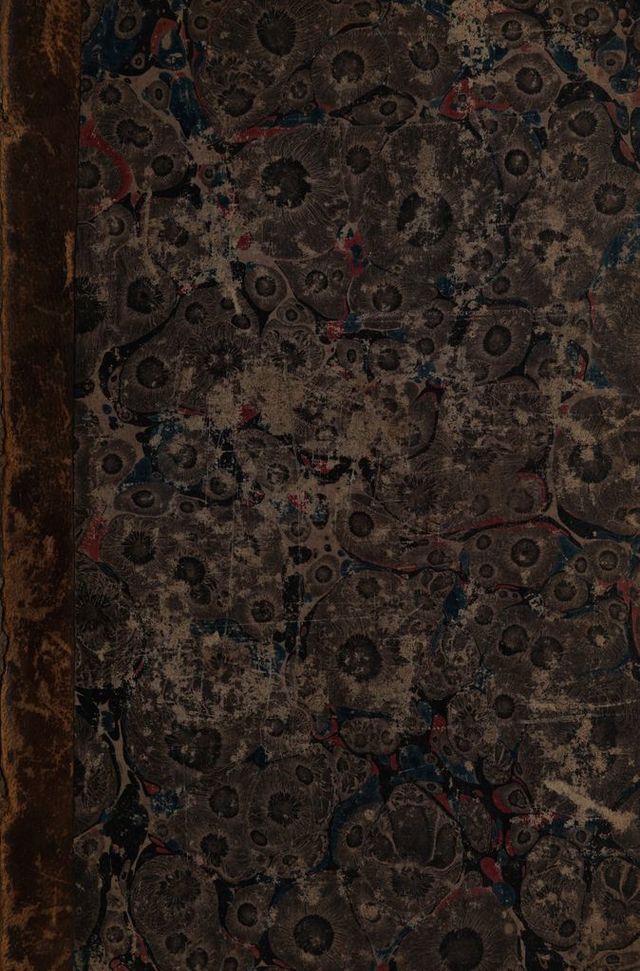 No text description is available for this image