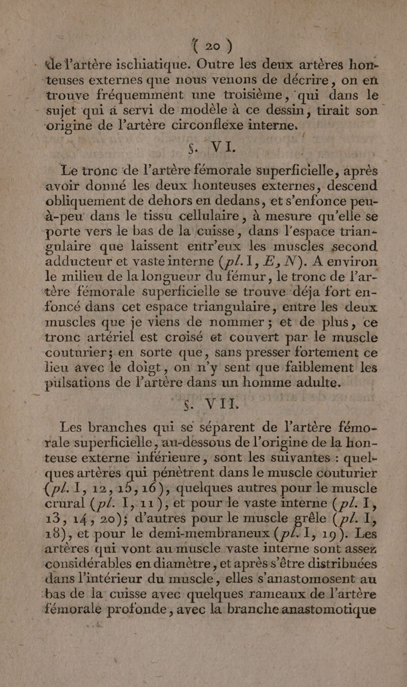 : de l'artère ischiatique. Outre les deux artères hor- trouve fréquemment une troisième, qui dans le sujet qui à servi de modèle à ce dessin, tirait son origine de l’artère circonfléxe interne, é a? SAVE Le tronc de l’artère fémorale superficielle, après avoir donné les deux honteuses externes, descend obliquement de dehors en dedans, et s'enfonce peu- à-peu dans le tissu cellulaire, à mesure qu’elle se porte vers le bas de la cuisse, dans l’espace trian- gulaire que laissent entr'eux les muscles second adducteur et vaste interne (p/.1, E,N). A environ le milieu de la longueur du fémur, le tronc de l’ar- tère fémorale superficielle se trouve déja fort en- foncé dans cet espace triangulaire, entre les deux muscles que je viens de nommer ; et de plus, ce tronc artériel est croisé et couvert par le muscle couturier; en sorte que, Sans presser fortement ce lieu avec le doigt, on n’y sent que faiblement les pulsations de l’artère dans un homme adulte. AA ANR de Les branches qui se séparent de l’artère fémo- teuse externe inférieure, sont les suivantes : quel- ques artères qui pénètrent dans le muscle couturier (pl. I, 12,15,16), quelques autres pour le muscle crural (p£. I,:11), et pourde vaste interne (p£. I, 13,14, 20); d’autres pour le muscle grêle (pZ. I, 18), et pour le demi-membraneux (p/. I, 19). Les considérables en diamètre, et après s'être distribuées | dans l’intérieur du muscle ‘anastomosent au dans l’inté d le , elles s’anast t fémorale protonde, avec la brancheanastomotique