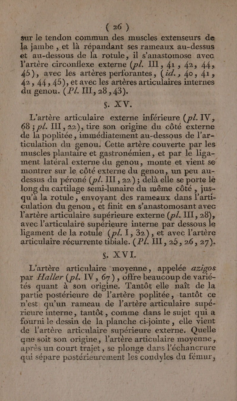 sur le tendon commun des muscles extenseurs de la jambe , et là répandant ses rameaux au-dessus et au-dessous de la rotule, il s’anastomose avec l'artère circonflexe externe (p/. III, 41, 42, 44, 45), avec les artères perforantes, (zd., 40, 41, 42, 44, 45), et avec les artères articulaires internes du genou. (PZ. II1,26,43) Le. L'artère articulaire externe inférieure (p£. IV, 68 ; pl. IT, 22), tire son origme du côté externe de la poplitée , immédiatement au-dessous de l’ar- ticulation du genou. Cette artère couverte par les _ muscles plantaire et sastronémien, et par le lisa- ment latéral externe du genou, monte et vient se montrer sur le côté externe du genou, un peu au- dessus du péroné (p/. IIT , 22); delà elle se porte lé long du cartilage semi-lunaire du même côté , jus- qu'à la rotule, envoyant des rameaux dans l'arti- culation du genou, et finit en s’anastomosant avec l'artère articulaire supérieure externe (p/. III, 25), avec l’articulaire supérieure interne par dessous le ligament de la rotule (p1. I, 32), et avec l'artère articulaire récurrente tibiale. ( PJ. IIT, 25, 26, 27). SAN LS 3 L’artère articulaire moyenne, appelée azi20s par aller (pl. IV, 67), offre beaucoup de varié- tés quant à son origine. Tantôt elle naît de la partie postérieure de l'artère poplitée, tantôt ce n’est qu’un rameau de l'artère articulaire supé- rieure interne, tantôt, comme dans le sujet qui a fourni le dessin de la planche ci-jointe , elle vient de l'artère articulaire supérieure externe. Quelle aue soit son origine, l'artère articulaire moyenne, après un court trajet, se plonge dans l’'échancrure qui sépare postérieurement les condyles du fémur,