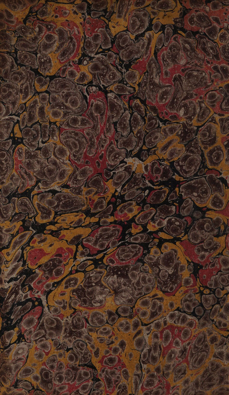 No text description is available for this image