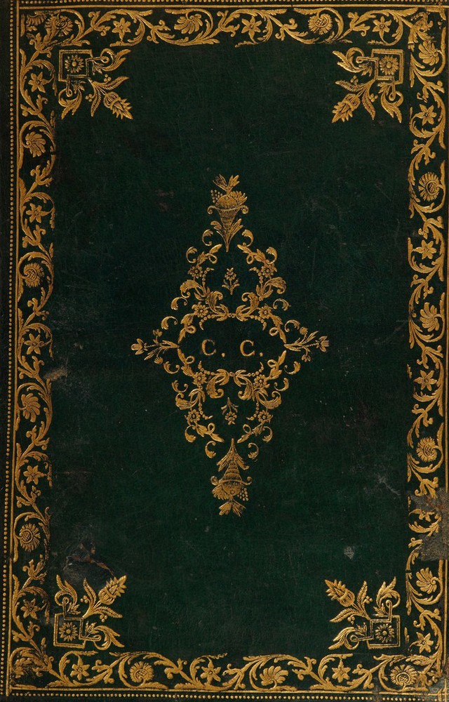 No text description is available for this image