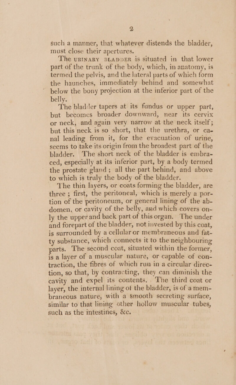 such a manner, that whatever distends the bladder, must close their apertures. The uRINARY BLADDER 1s situated in that lower part of the trunk of the body, which, in anatomy, 1s termed the pelvis, and the lateral parts of which form the haunches, immediately behind and somewhat below the bony projection at the inferior part of the belly. The bladder tapers at its fundus or upper part, but becomes broader downward, near its cervix or neck, and again very narrow at the neck itself; but this neck is so short, that the urethra, or ca- nal leading from it, for the evacuation of urine, seems to take its origin from the broadest part of the bladder. The short neck of the bladder is embra- ced, especially at its inferior part, by a body termed the prostate gland; all the part behind, and above to which is truly the body of the bladder. The thin layers, or coats forming the bladder, are three ; first, the peritoneal, which is merely a por- tion of the peritoneum, or general lining of the ab- domen, or cavity of the belly, and which covers on- ly the upper and back part of this organ. The under and forepart of the bladder, not invested by this coat, is surrounded by a cellular or membraneous and fat- ty substance, which connects it to the neighbouring parts. The second coat, situated within the former, is a layer of a muscular nature, or capable of con- traction, the fibres of which run in a circular direc- tion, so that, by contracting, they can diminish the cavity and expel its contents... The third coat or layer, the internal lining of the bladder, is of a mem- braneous nature, with a smooth secreting surface, similar to that lining other hollow muscular tubes, such as the intestines, &amp;c.