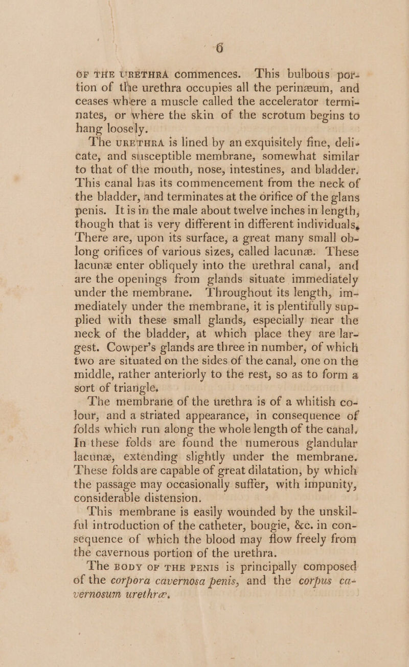OF THE URETHRA commences. This bulbous por. tion of the urethra occupies all the perineum, and ceases where a muscle called the accelerator termi- nates, or where the skin of the scrotum begins to hang loosely. The vrerura is lined by an exquisitely fine, deli- cate, and siusceptible membrane, somewhat similar to that of the mouth, nose, intestines, and bladder. This canal has its commencement from the neck of the bladder, and terminates at the orifice of the glans penis. It isin the male about twelve inches in length, though that is very different in different individuals, There are, upon its surface, a great many small ob- long orifices of various sizes, called lacuna. These lacuna: enter obliquely into the urethral canal, and are the openings from glands situate immediately under the membrane. Throughout its length, im- mediately under the membrane, it is plentifully sup- plied with these small glands, especially near the neck of the bladder, at which place they are lar- gest. Cowper’s glands are three in number, of which two are situated on the sides of the canal, one on the middle, rather anteriorly to the rest, so as to form a sort of triangle. The membrane of the urethra is of a whitish co- four, and a striated appearance, in consequence of folds which run along the whole length of the canal. In these folds are found the numerous glandular lacunes, extending slightly under the membrane. These folds are capable of great dilatation, by which the passage may occasionally suffer, with impunity, considerable distension. _ This membrane is easily wounded by the unskil- ful introduction of the catheter, bougie, &amp;c. in con- sequence of which the blood may flow freely from the cavernous portion of the urethra. The Bopy oF THE PENIS is principally composed of the corpora cavernosa penis, and the corpus ca- vernosum urethra. | )
