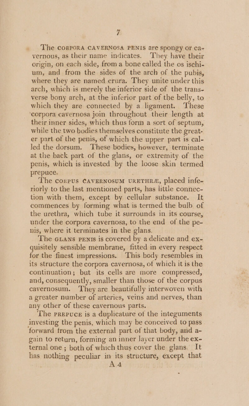 The corpoRA CAVERNOSA PENIS are spongy or ca- vernous, as their name indicates. ‘They have their origin, on each side, from a bone called the os ischi- um, and from the sides of the arch of the pubis, where they are named crura. ‘They unite under this arch, which is merely the inferior side of the trans- verse bony arch, at the inferior part of the belly, to which they are connected by a ligament. ‘These corpora cavernosa join throughout their length at their inner sides, which thus form a sort of septum, while the two bodies themselves constitute the great- er part of the penis, of which the upper part is cal- led the dorsum. ‘These bodies, however, terminate at the back part of the glans, or extremity of the penis, which is invested by the loose skin termed prepuce. The corpus CAVERNOSUM URETHRA, placed infe- riorly to the last mentioned parts, has little connec- tion with them, except by cellular substance. It commences by forming what is termed the bulb of the urethra, which tube it surrounds in its course, under the corpora cavernosa, to the end of the pe- nis, where it terminates in the glans. The GLans PENIs is covered by a delicate and ex- quisitely sensible membrane, fitted in every respect for the finest impressions. ‘This body resembles in its structure the corpora cavernosa, of which it is the continuation; but its cells are more compressed, and, consequently, smaller than those of the corpus cavernosum. ‘They are beautifully mterwoven with a greater number of arteries, veins and nerves, than any other of these cavernous parts. ‘The prepuce is a duplicature of the integuments investing the penis, which may be conceived to pass - forward from the external part of that body, and a- gain to return, forming an inner layer under the ex- ternal one ; both of which thus cover the glans. It has nothing peculiar in its structure, except that AA