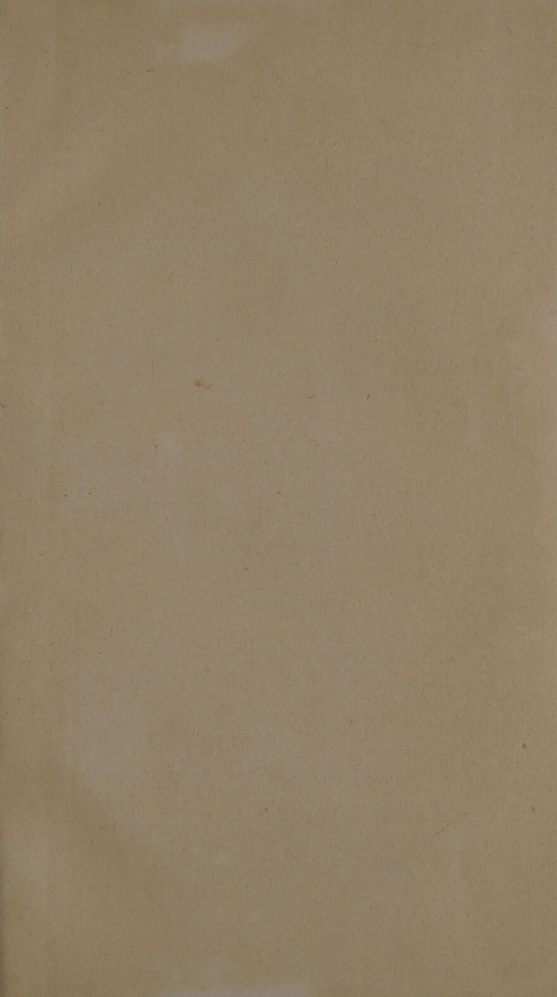 a. seh eae z e' 3. = 4 rare + y - zy rie a ys, ris