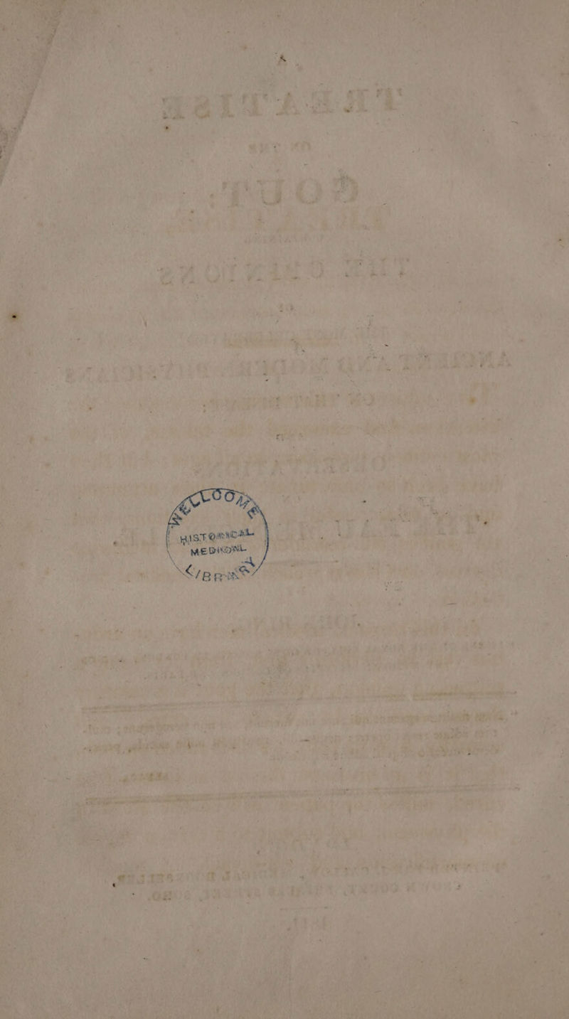 2 ey - A ' RAN Oy { 4 eet