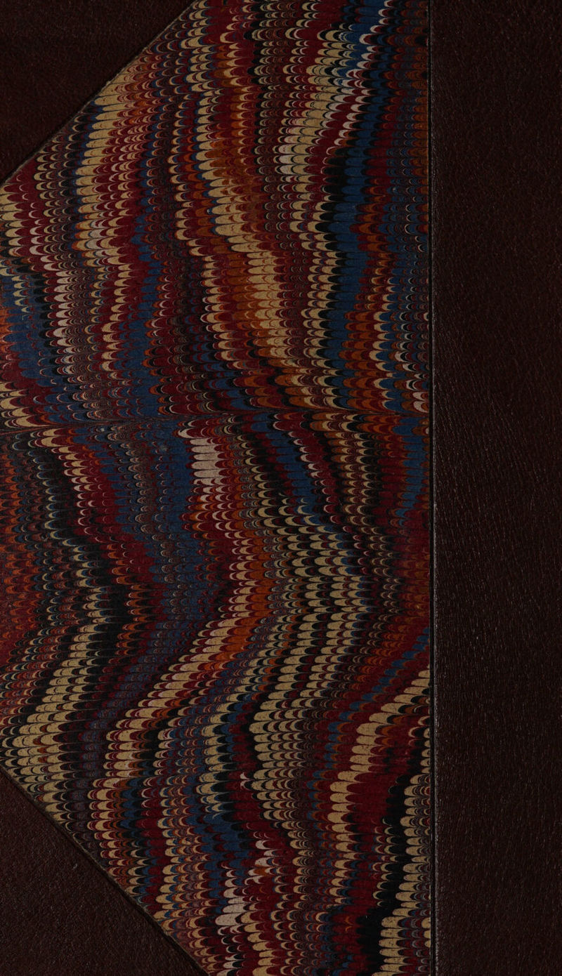 fe AND apa elaly Nay h- a fo Any nt «S