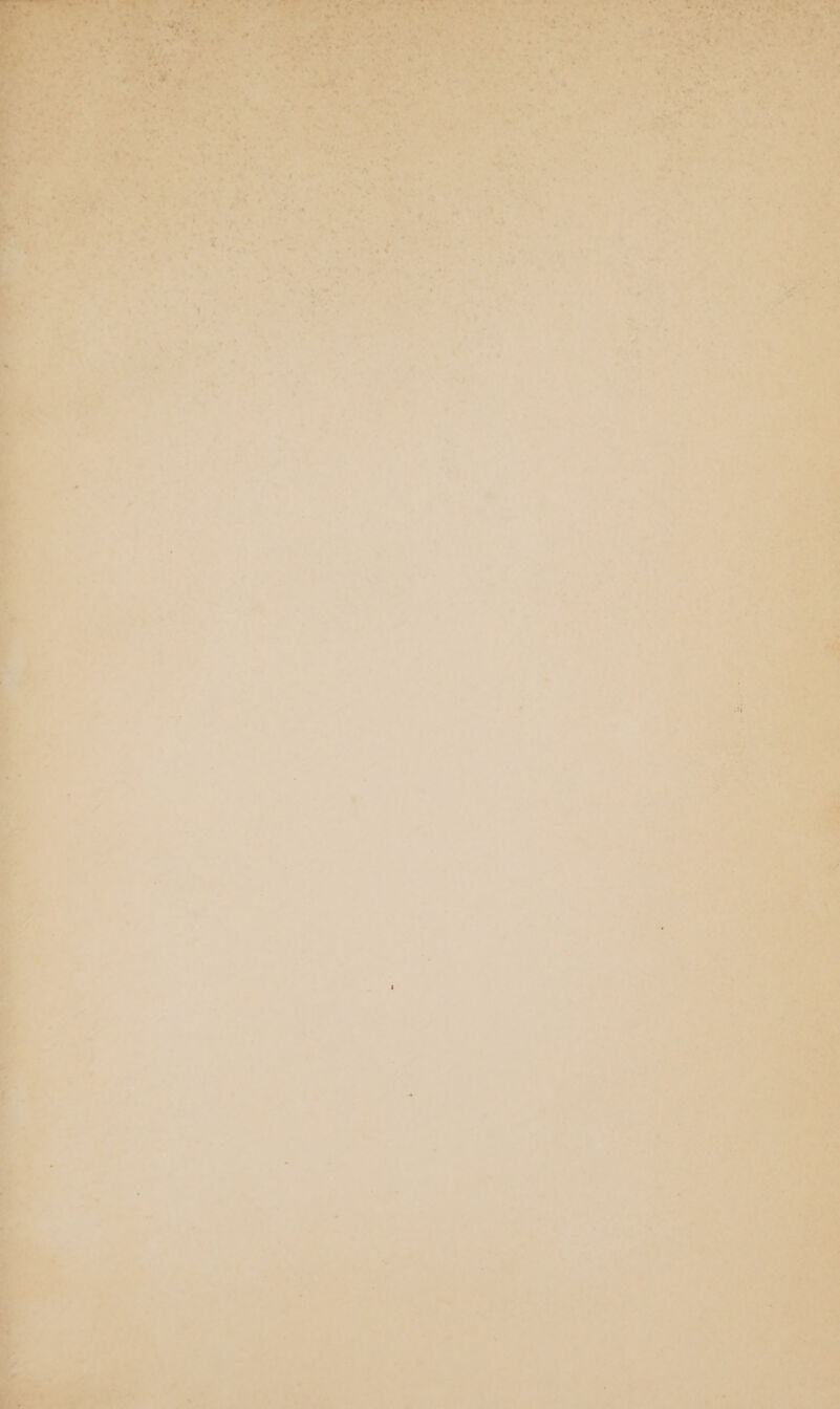 4 - “r Bn Ave tem, Pere et Ae ae