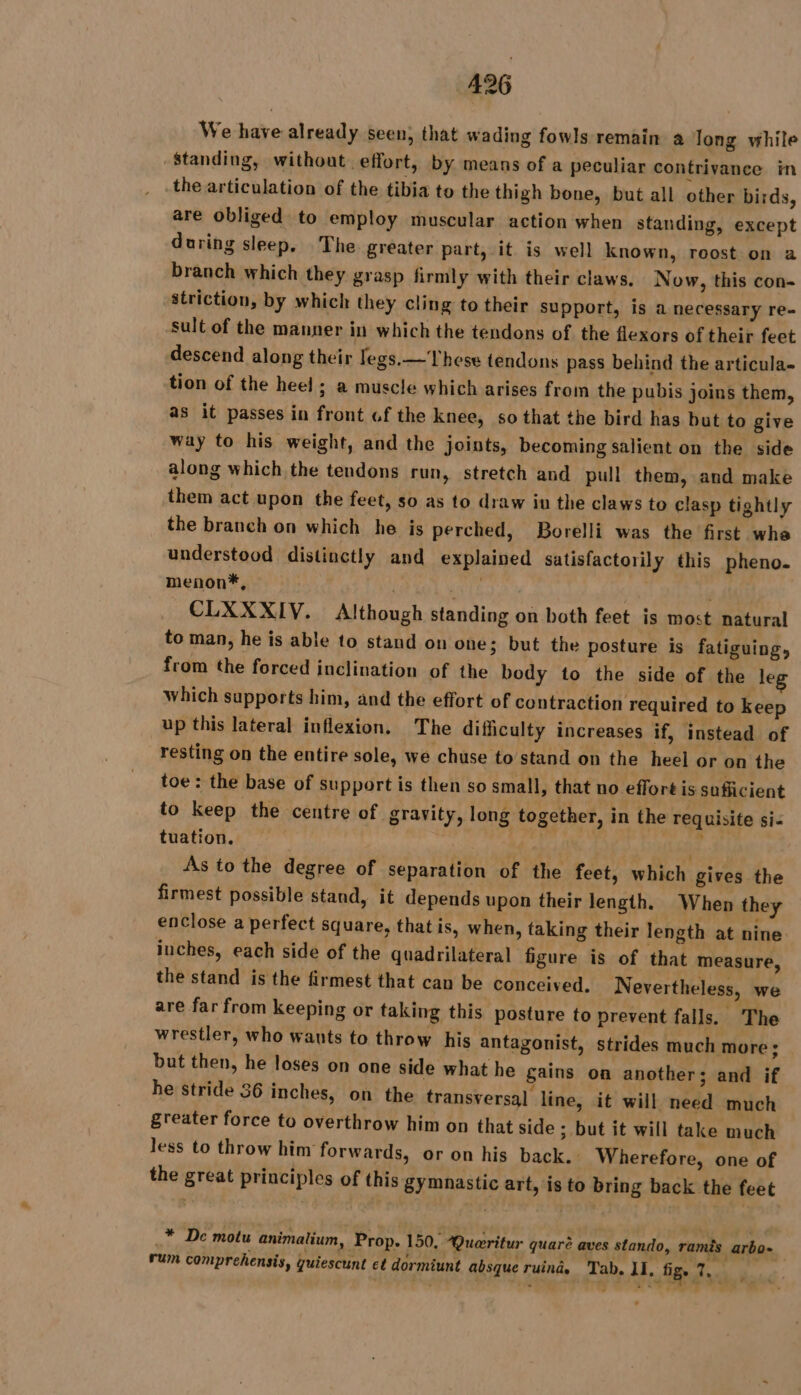 We have already seen, that wading fowls remain à Jong while Standing, without effort, by means of a peculiar contrivanee in the articulation of the tibia to the thigh bone, but all other birds, are obliged to employ muscular action when standing, except during sleep. The greater part, it is well known, roost on a branch which they grasp firmly with their claws. Now, this con- striction, by which they cling to their support, is a necessary re- sult of the manner in which the tendons of the flexors of their feet descend along their legs.— These tendons pass behind the articula- tion of the heel ; a muscle which arises from the pubis joins them, as it passes in front of the knee, so that the bird has but to give way to his weight, and the joints, becoming salient on the side along which the tendons run, stretch and pull them, and make them act upon the feet, so as to draw iu the claws to clasp tightly the branch on which he is perched, Borelli was the first whe understood distinctly and explained satisfactorily this pheno. menon*, | yee CLXXXIV. Although standing on both feet is most natural to man, he is able to stand on one; but the posture is fatiguing, from the forced inclination of the body to the side of the leg which supports him, and the effort of contraction required to keep up this lateral inflexion. The difficulty increases if, instead of resting on the entire sole, we chuse to stand on the heel or on the toe: the base of support is then so small, that no effort is sufficient to keep the centre of gravity, long together, in the requisite si- tuation. Bd a) | * As to the degree of separation of the feet, which gives the firmest possible stand, it depends upon their length. | When they enclose a perfect square, that is, when, taking their length at nine inches, each side of the quadrilateral figure is of that measure, the stand is the firmest that can be conceived. Nevertheless, we are far from keeping or taking this posture to prevent falls. The wrestler, who wants to throw his antagonist, strides much more : but then, he loses on one side what he gains on another; and if he stride 36 inches, on the transversal line, it will need much greater force to overthrow him on that side ; but it will take much Jess to throw him forwards, or on his back. Wherefore, one of the great principles of this gymnastic art, is to bring back the feet _* De motu animalium, Prop. 150, *Queritur quaré aves stando, ramés arbo- | rum comprehensis, guiescunt et dormiunt absque ruinds Tab. II, fige ae