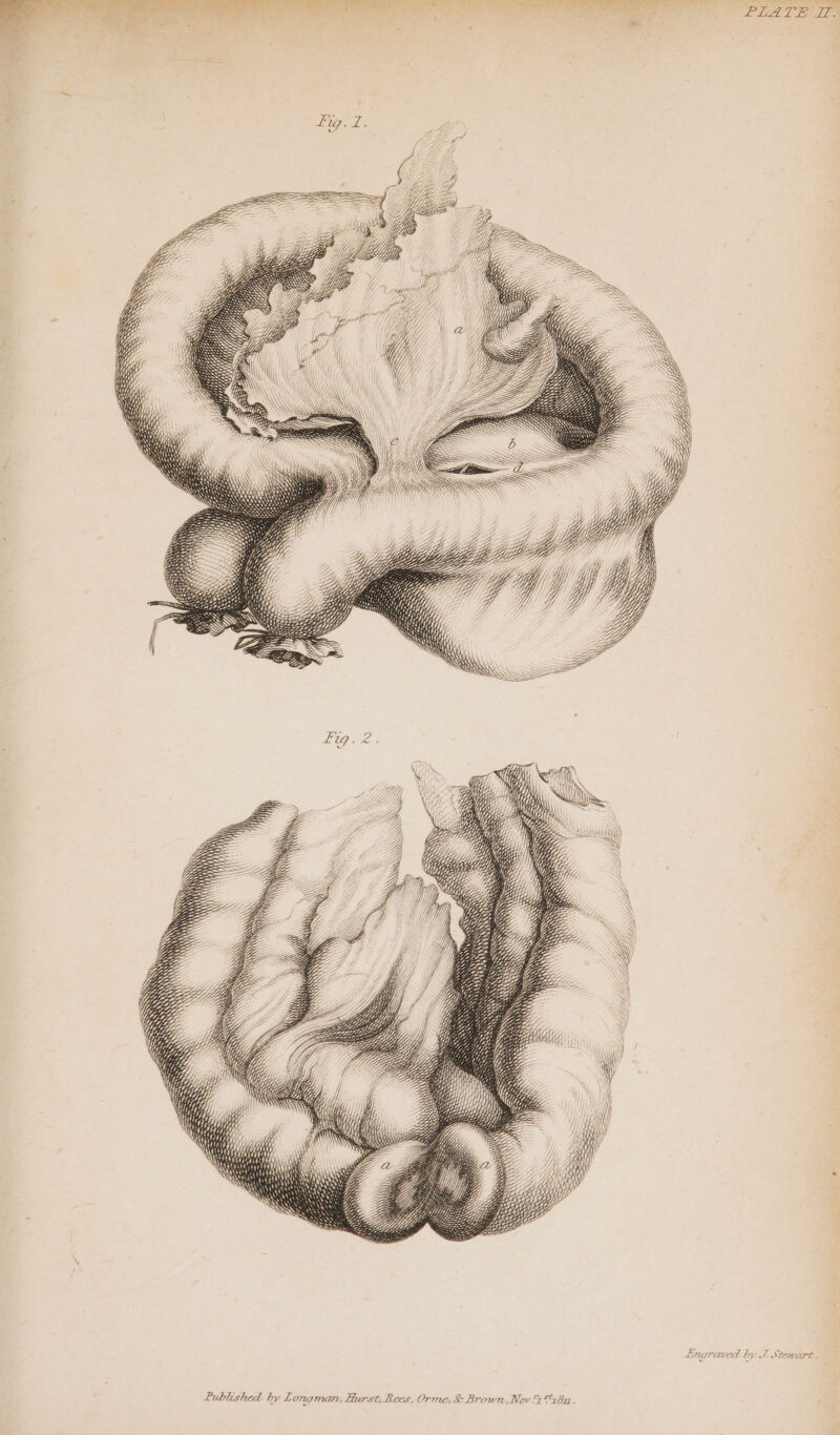 N WN ANN Ws WH Published by Longman, Hurst, Rees, Orme, &amp; Brown, Nov! SS =e &lt;= Sy Ih) \ SN \Y SS 7 8n. Engraved by J. Stewart