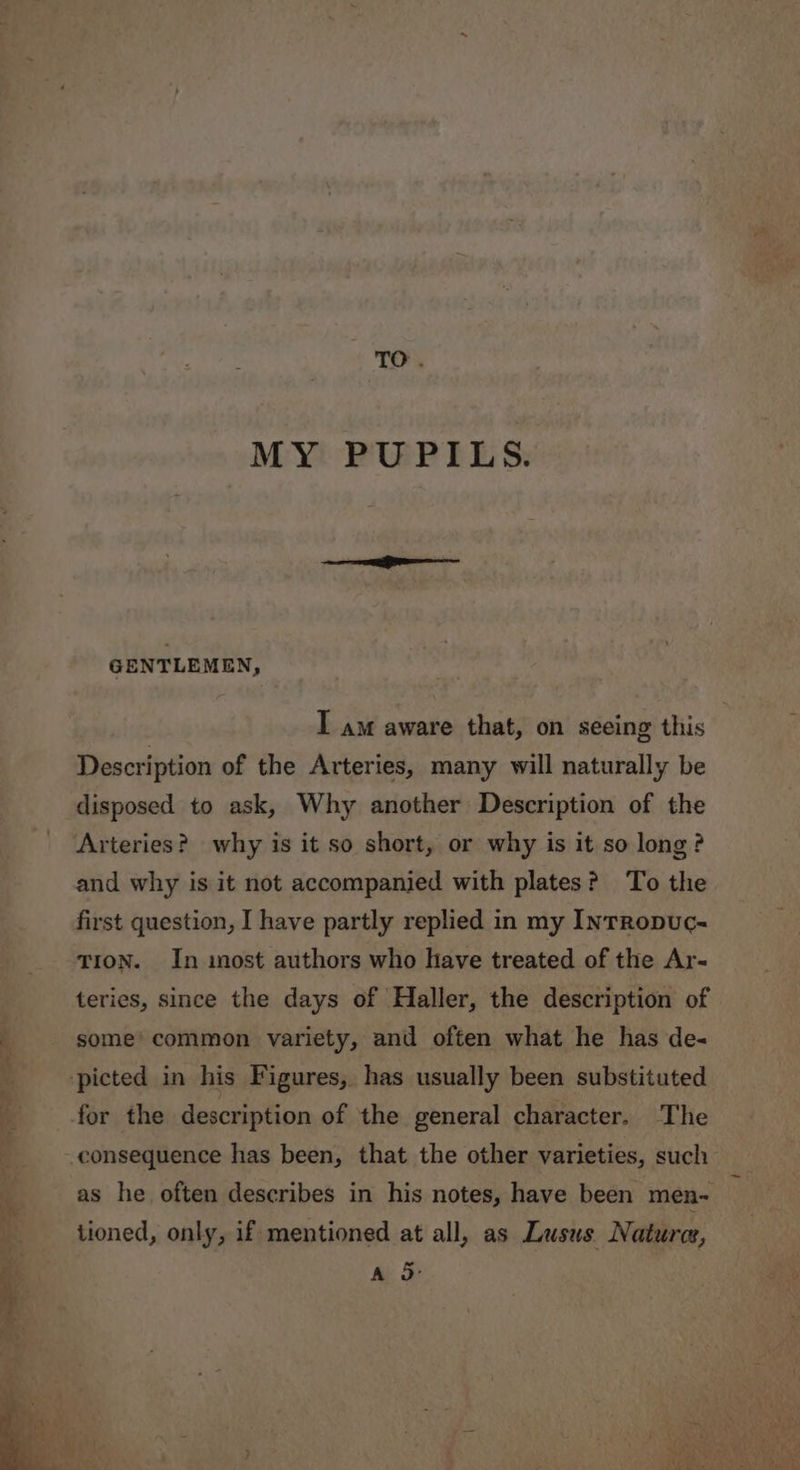 TO. MY PUPILS. GENTLEMEN, I am aware that, on seeing this Description of the Arteries, many will naturally be disposed to ask, Why another Description of the and why is it not accompanied with plates? To the first question, I have partly replied in my IntTRopUc- TION. In most authors who have treated of the Ar- teries, since the days of Haller, the description of some’ common variety, and often what he has de- for the description of the general character. The as he often describes in his notes, have been men- tioned, only, if mentioned at all, as Lusus Natures, A 3