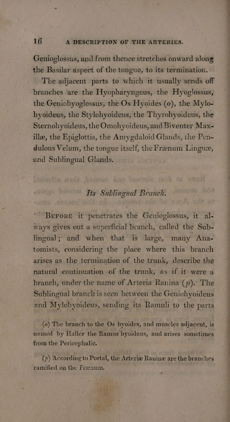 Genioglossus, and from thence stretches onward along the Basilar aspect of the tongue, to its termination. The adjacent parts to which it usually sends off branches are the Hyopharyngeus, the Hyoglossus, the Geniohyoglossus, the Os Hyoides (0), the Mylo- hyoideus, the Stylohyoideus, the Thyrohyoideus, the Sternohyoideus, the Omohyoideus, and Biventer Max- ille, the Epiglottis, the Amygdaloid Glands, the Pen- dulous Velum, the tongue itself, the Frenum Lingus, and Sublingual Glands. Tis Sublingual Branch. BEFORE it penetrates the Genioglossus, it al- ways gives out a superficial branch, called the Sub- lingual; and when that is large, many Ana- arises as the termination of the trunk, describe the natural continuation of the trunk, as if it were a branch, under the name of Arteria Ranina (p). The and Mylohyoideus, sending its Ramuli to the parts (0) The branch to the Os hyoides, and muscles adjacent, is named by Haller the Ramus hyoideus, and arises sometimes from the Pericephalic. (p) According to Portal, the Arterize Ranine are the branches ‘ramified on the Frenum. f; -, &lt;a — - ee