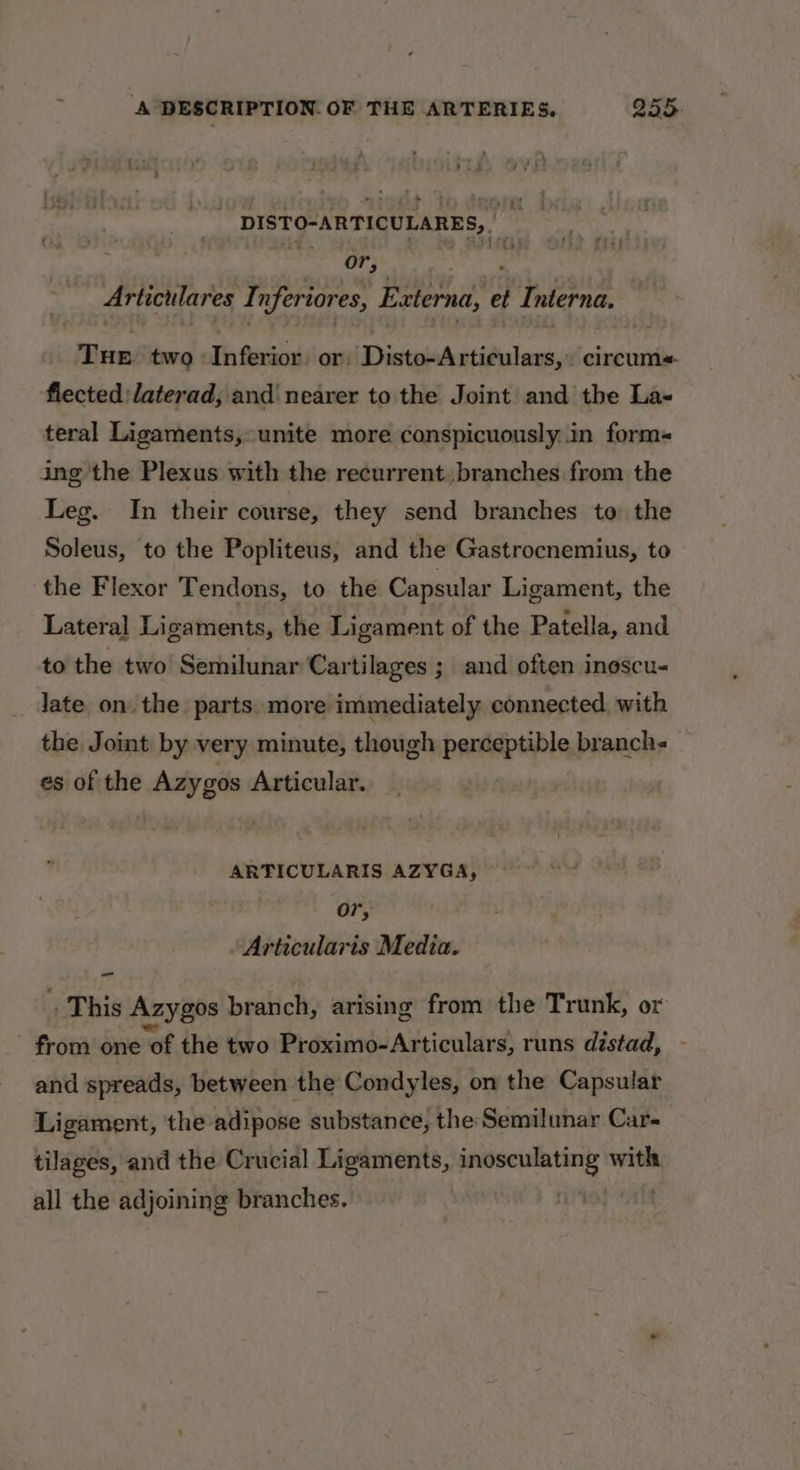 éw DISTO-ARTICULARES, | DOP Hones Articulares Inferiores, Externa, et Interna. Tue two Inferior or, Disto-Articulars,. circeum+ flected) daterad, and nearer to the Joint and the Las teral Ligaments, unite more conspicuously in form« ing the Plexus with the recurrent branches from the Leg. In their course, they send branches to the Soleus, to the Popliteus, and the Gastrocnemius, to the Flexor Tendons, to the Capsular Ligament, the Lateral Ligaments, the Ligament of the Patella, and to the two Semilunar Cartilages ; and often inescu- late. on. the parts. more immediately connected, with the Joint by very minute, though perceptible branch es of the Azygos Articular. ARTICULARIS AZYGA, | or, Articularis Media. _- . This Azygos branch, arising from the Trunk, or from one of the two Proximo-Articulars, runs distad, and spreads, between the Condyles, on the Capsular Ligament, the adipose substance, the Semilunar Car« tilages, and the Crucial Ligaments, resent with all the adjoining branches.