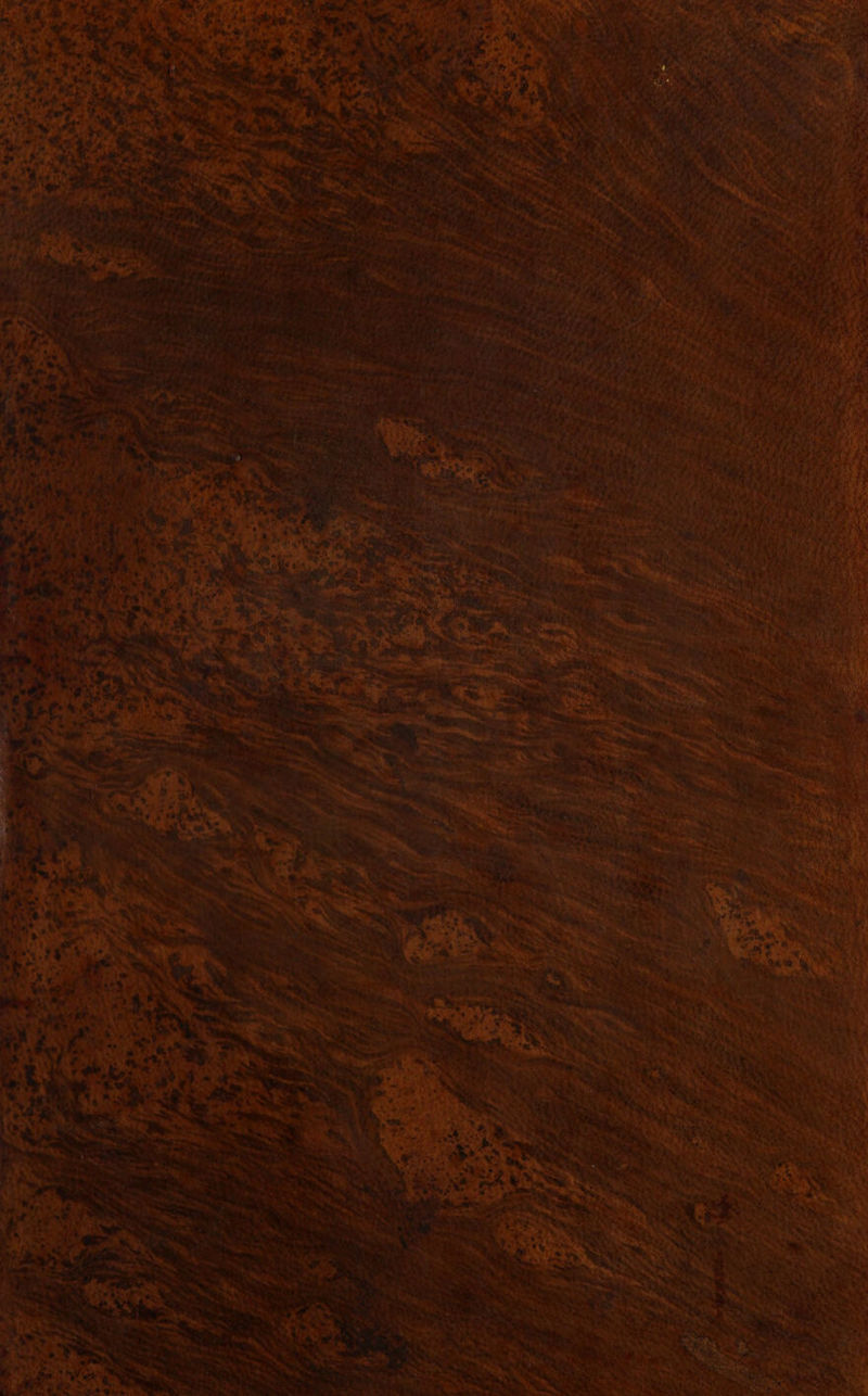 No text description is available for this image