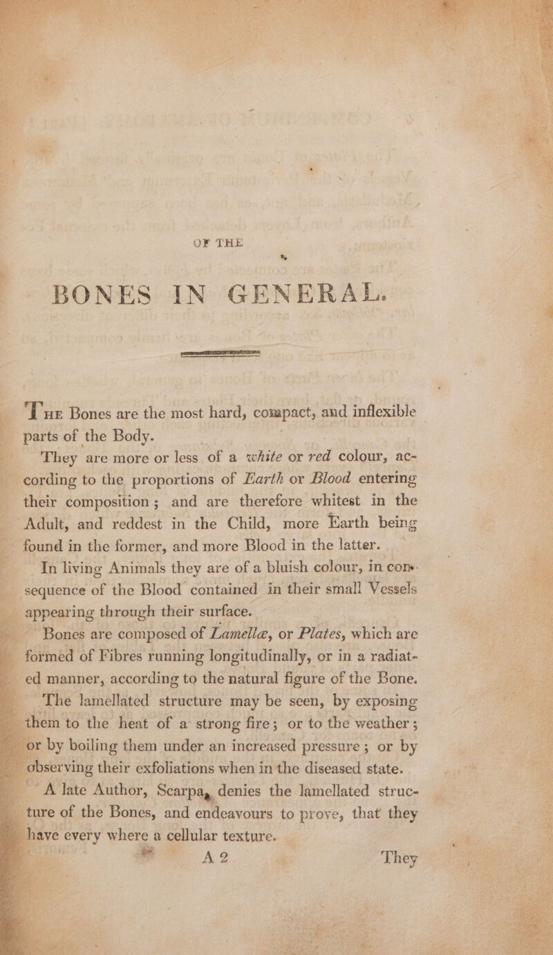 OF THE | % BONES IN GENERAL. oe Ge Bones are the most hard, compact, and inflexible 2 parts of the Body. | a They are more or less. of : a white or cf colour, ac- cording to the proportions of Earth or Blood entering their composition ; ; and are therefore whitest in the - Adult, and reddest in the Child, more Earth being found i in the former, and more Blood in the latter: ,i.¢ “Tn living Animals they are of a bluish colour, in cone. sequence of the Blood contained in their small Vessels _ appearing through their surface. Se : a Bones are composed of Lamella, or Plates, which are q formed of Fibres running longitudinally, or in a radiat- 4 ed manner, according to the natural figure of the Bone. * The lamellated structure may be seen, by exposing — to BE: heat of a sien 3 fire; 5 Or to the weather ; 3 s rue late Author, Sete denies a ricliated struc- _ ture of the Bones, and endeavours to prove, that they have every where a cellular texture. Gj