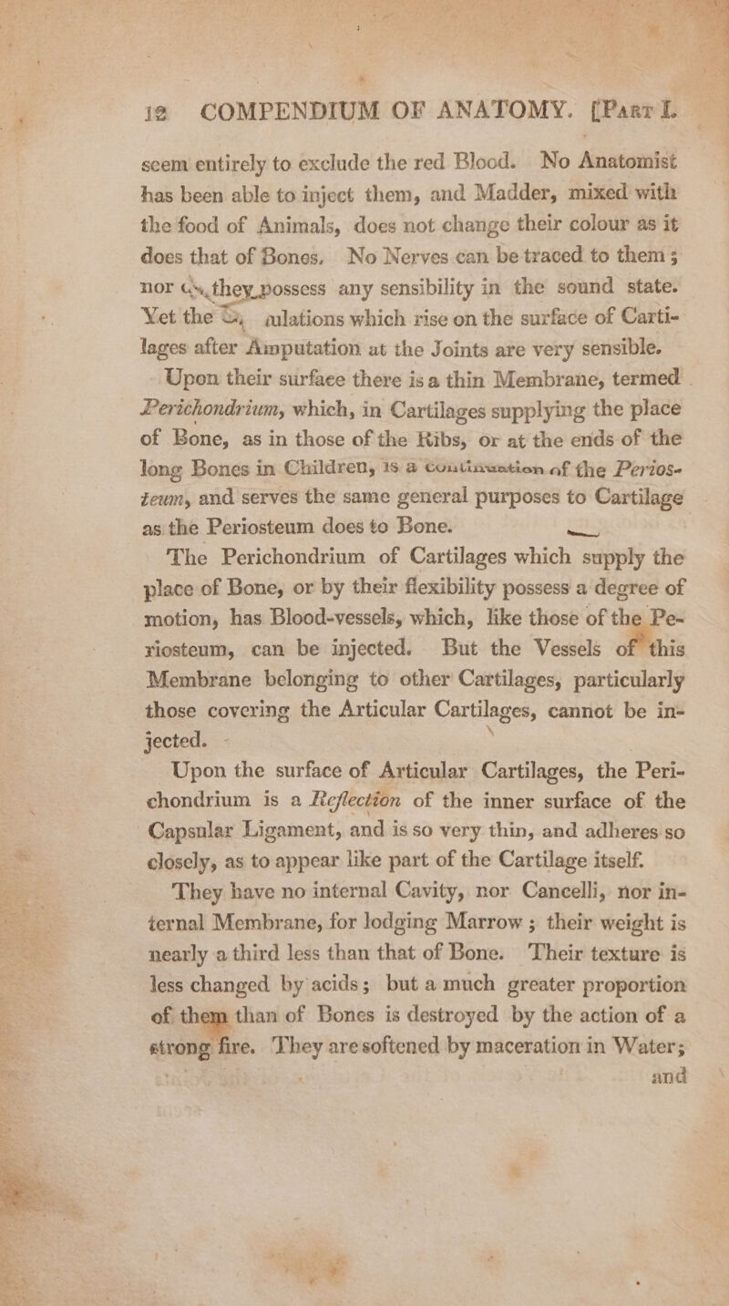 By RRA ET By 30. 8 &, seem entirely to exclude the red Blood. No Anatomist has been able to inject them, and Madder, mixed with the food of Animals, does not change their colour as it nor Gs,they possess any sensibility in the sound state. Yet the &, ulations which rise on the surface of Carti- lages after Amputation at the Joints are very sensible. Upon their surface there is a thin Membrane, termed | Perichondrium, which, in Cartilages supplying the place of Bone, as in those of the Ribs, or at the ends of the long Bones in Children, 18 4 continuation of the Perios- zeum, and serves the same general purposes to Cartilage as the Periosteum does to Bone. Ua The Perichondrium of Cartilages which supply the place of Bone, or by their flexibility possess a degree of motion, has Blood-vessels, which, like those of the Pe- yiosteum, can be injected. But the Vessels of this Membrane belonging to other Cartilages, particularly those covering the Articular paras: cannot be in- jected. Upon the surface of Articular Cartilages, the Peri- chondrium is a Reflection of the inner surface of the closely, as to appear like part of the Cartilage itself. They have no internal Cavity, nor Cancelli, nor in- ternal Membrane, for lodging Marrow ; their weight is nearly a third less than that of Bone. Their texture is less changed by acids; but a much greater proportion of them than of Bones is destroyed by the action of a nda. They are softened by maceration in Water; ti Loueg and