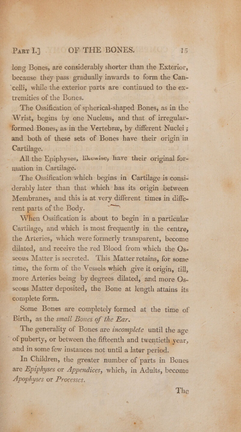 long Bones, are considerably shorter than the Exterior, because they pass gradually inwards to form the Can- ‘celli, while the exterior parts are continued to the ex- Ser es ee eee tremities of the Bones. Wrist, begins by one Nucleus, and that of irregular- “formed. Bones, as in the Vertebree, by different Nuclei ; and both of these sets of Bones have their origin in Cartilage. | _ Allthe Epiphyses, likewise, have their original for- - mation in Cartilage. The Ossification which begins in Cartilage is consi- _derably later than that which has its origin between Membranes, and this is at very different times in diffe- rent parts of the Body. Ee a 4 Ossification is about to begin in a particular Cartilage, and which is most frequently in the centre, the Arteries, which were formerly transparent, become dilated, and receiye the red Blood fr om which the Os- seous Matter is secreted. This Matter retains, for some time, the form of the Vessels which give it origin, till, _ more Arteries being by degrees dilated, and more Os- seous Matter deposited, the Bone at length attains its complete form. , Some Bones are completely formed at the time of Birth, as the small Bones of the Ear. _ The generality of Bones are incomplete until the age of puberty, or between the fifteenth and twentieth year, and in some few instances not until a later period, In Children, the greater number of parts in Bones ; are Epiph yses or Appendices, which, in Adults, become _ Apophyses or Processes. The yay, ea eee &lt;a