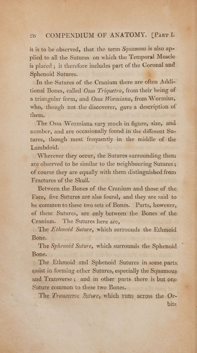 it is to be observed, that the term Squamous is also ap- plied to all the Sutures on which the Temporal Muscle is placed ; it therefore includes part of the Coronal and Sphenoid Sutures. | In the Sutures of the Cranium there are often Addi- tional Bones, called Ossa Triquetra, from their being of a triangular form, and Ossa Wormiana, from Wormius, who, though not the discoverer, gave a description of them. | The Ossa Wormiana vary much in figure, size, and number, and are occasionally found in the different Su- tures, though most frequently in the middle of the Lambdoid. Wherever they occur, the Sutures surrounding them are observed to be similar to the neighbouring Sutures ; of course they are equally with them distinguished &lt; Fractures of the Skull. Between the Bones of the Cranium and those of the Face, five Sutures are also found, and they are said to he common to these two sets of Bones. Parts, however, ef these Sutures, are only between the Bones of the Cranium. ‘The Sutures here are, The Lthmoid Suture, which surrounds the Ethmoid Bone. The Sphenoid Suture, which surrounds the Sphenoid Bone. The Ethmoid and Sphenoid Sutures in some parts, qssist in forming other Sutures, especially the Squamous and Transverse; and in other parts there is but one Suture common to these two Bones. bits