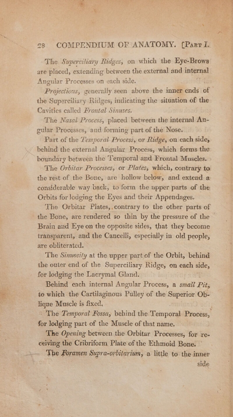The Superciliary Ridges, on which the Kye-Brows are placed, extending between the external and internal Angular Processes on each side. te Projections, ee seen above the inner ends of the Superciliary Ridges, indicating the situation of the Cavities called Frontal Sinuses. The Nasal Process, placed between the internal An- gular Processes, and forming part of the Nose. Part of the Temporal Process, or Ridge, on each sidey behind the external Angular’ Process, which forms the boundary between the ‘Temporal and Frontal Muscles. The Orbitar Processes, or Plates, which, contrary to the rest of the Bone, are hollow below, and extend a considerable way back, to form the upper parts of the Orbits for lodging the Eyes and their Appendages. The Orbitar Plates,.contrary to the other parts of the Bone, are rendered so thin by the pressure of the — Brain and Eye on the opposite sides, that they become transparent, and the Cancelli, especially in old people, are obliterated. The Sinuostty at the upper part of the Orbit, behind the outer end of the Superciliary Ridge, on each side, for lodging the Lacrymal Gland. Behind each internal Angular Process, a smail Pit, to which the Cartilaginous Pulley of the Superior Ob- lique Muscle is fixed, _ The Temporal Fossa, behind the Temporal Process, - for lodging part of the Muscle of that name. The Opening between the Orbitar Processes, for re- ceiving the Cribriform Plate of the Ethmoid Bone. | The vane Supra-orbitarium, a little to the inner side