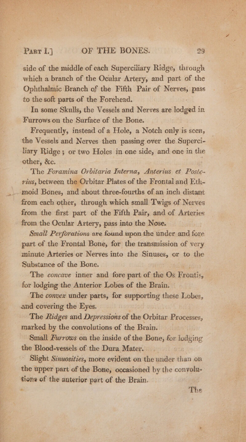 side of the middle of each Superciliary Ridge, through which a branch of the Ocular Artery, and part of the Ophthalmic Branch of the Fifth Pair of Nerves, pass to the soft parts of the Forehead. In some Skulls, the Vessels and Nerves are lodged : In Furrows on the Surface of the Bone. Frequently, instead of a Hole, a Notch only is seen, the Vessels and Nerves then passing over the Superci- liary Ridge ; or two Holes in one side, and one in the other, &amp;c. ; The Foramina Orbitaria Interna, Anterius et Poste- rus, between the Orbitar Plates of the Frontal and Eth. ‘moid Bones, and about three-fourths of an inch distant from each other, threugh which small Twigs of Nerves from the first part of the Fifth Pair, and of Arteries - from the Ocular Artery, pass into the Nose. Small Perforations are found upon the under and fore part of the Frontal Bone, for the transmission of very minute Arteries or Nerves into the Sinuses, or to the Substance of the Bone. | The concave inner and fore part of the Os Fyontis, for lodging the Anterior Lobes of the Brain. The convex under parts, for supporting these Lobes, and covering the Eyes. _ The Ridges and Depressions of the Oxbitar Processes, marked by the convolutions of the Brain. Small Furrows on the inside of the Bone, for lodging the Blood-vessels of the Dura Mater. oR. Slight Sinwositzes, more evident on the under than on the upper part of the Bone, occasioned by the convolu- tions of the anterior part of the Brain. ‘“ The