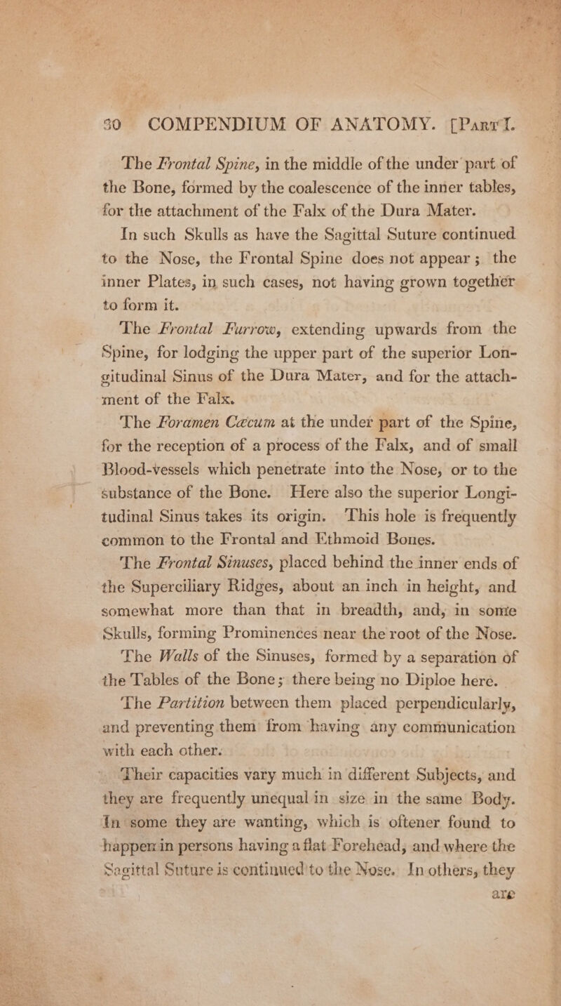 The Lrontal Spine, in the middle of the under part of the Bone, formed by the coalescence of the inner tables, for the attachment of the Falx of the Dura Mater. In such Skulls as have the Sagittal Suture continued to the Nose, the Frontal Spine does not appear ;_ the inner Plates, in such cases, not having grown together. to form it. ? The Frontal Furrow, extending upwards from the Spine, for lodging the upper part of the superior Lon- gitudinal Sinus of the Dura Mater, and for the attach- ment of the Falx. The Foramen Caecum at the under part of the Spine, for the reception of a process of the Falx, and of small Blood-vessels which penetrate into the Nose, or to the substance of the Bone. Here also the superior Longi- tudinal Sinus takes its origin. ‘This hole is frequently common to the Frontal and Ethmoid Bones. The Frontal Sinuses, placed behind the inner ends of the Superciliary Ridges, about an inch in height, and somewhat more than that in breadth, and, in some Skulls, forming Prominences ‘near the root of the Nose. The Walls of the Sinuses, formed by a separation of ihe Tables of the Bone; there being no Diploe here. | The Partition between them placed perpendicularly, and preventing them from having any communication with each other. Their capacities vary much in different Subjects, and they are frequently unequal in size in the same Body. tn some they are wanting, which is oftener found to happenin persons having a flat Forehead, and where the Sagittal Suture is continued'to the Nose. In others, they are