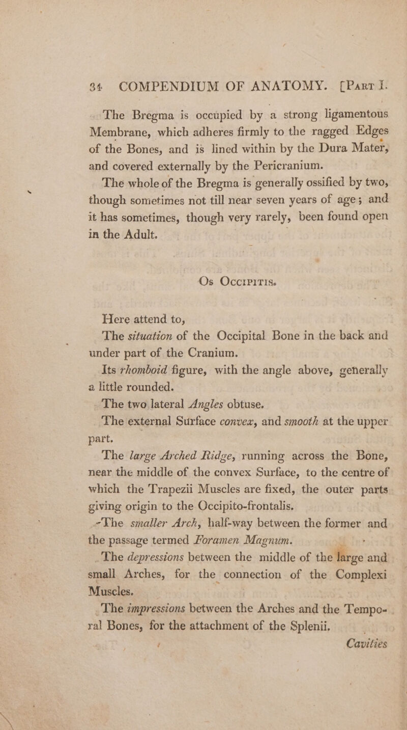 ‘The Bregma is occupied by a strong ligamentous Membrane, which adheres firmly to the ragged Edges of the Bones, and is lined within by the Dura Mater, and covered externally by the Pericranium. The whole of the Bregma is generally ossified by two, though sometimes not till near seven years of age; and it has sometimes, though very rarely, been found open in the Adult. Os OcciPitTis. Here attend to, The situation of the Occipital Bone in the back and under part of the Cranium. Its rhomboid figure, with the angle above, generally a little rounded. | The two lateral Angles obtuse. The external Surface convex, and smooth at the upper part. : The large Arched Ridge, running across the Bone, near the middle of the convex Surface, to the centre of which the Trapezii Muscles are fixed, the outer parts giving origin to the Occipito-frontalis. _Vhe smaller Arch, half-way between the former and the passage termed Moramen Magnum. | _ The depressions between the middle of a and | small Arches, for the connection of the Complexi Muscles. | The cmpressions between the Arches and the Tempo-_ ral Bones, for the attachment of the Splenii. Cavities