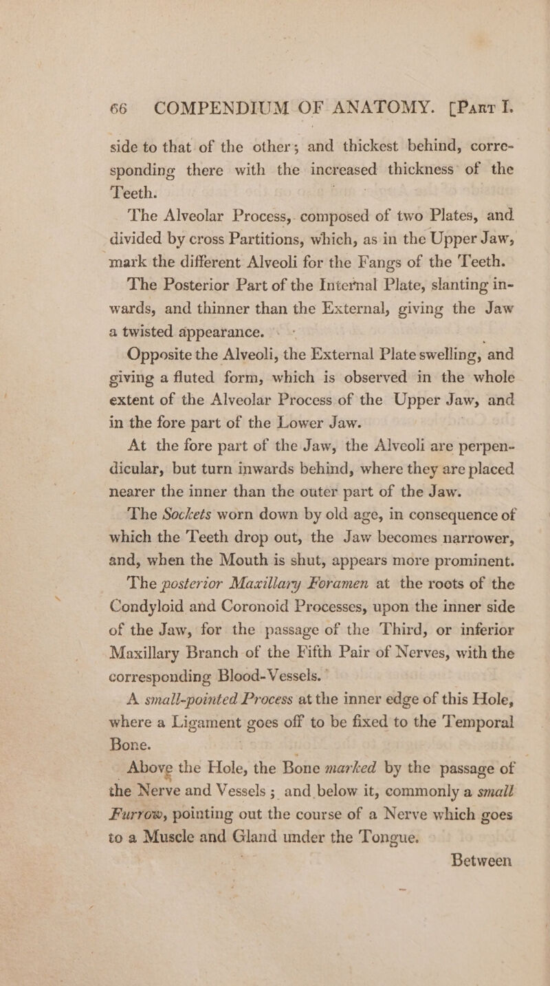 side to that of the other; and thickest behind, corre- sponding there with the increased thickness’ of the reeth. The Alveolar Process, composed of two Plates, and divided by cross Partitions, which, as in the Upper Jaw; ‘mark the different Alveoli for the Fangs of the Teeth. The Posterior Part of the Inicrnal Plate, slanting in- wards, and thinner than the External, giving the Jaw a twisted appearance. Opposite the Alveoli, the External Plate swelling, and giving a fluted form, which is observed in the whole extent of the Alveolar Process of the Upper seca: and in the fore part of the Lower Jaw. At the fore part of the Jaw, the Alveoli are perpen- dicular, but turn inwards behind, where they are placed nearer the inner than the outer part of the Jaw. The Sockets worn down by old age, in consequence of which the Teeth drop out, the Jaw becomes narrower, and, when the Mouth is shut, appears more prominent. The posterior Maaillary Foramen at the roots of the Condyloid and Coronoid Processes, upon the inner side of the Jaw, for the passage of the Third, or inferior Maxillary Branch of the Fifth Pair of Nerves, with the corresponding Blood- Vessels. ° A small-pointed Process at the inner edge of this Hole, where a lngeraey goes off to be fixed to the Temporal Bone. Above the Hole, the Bone marked by the passage of the Nerve and Vessels ;. and _ below it, commonly a smail Furrow, pointing out the course of a Nerve which goes to a Muscle and Gland under the Tongue. Between