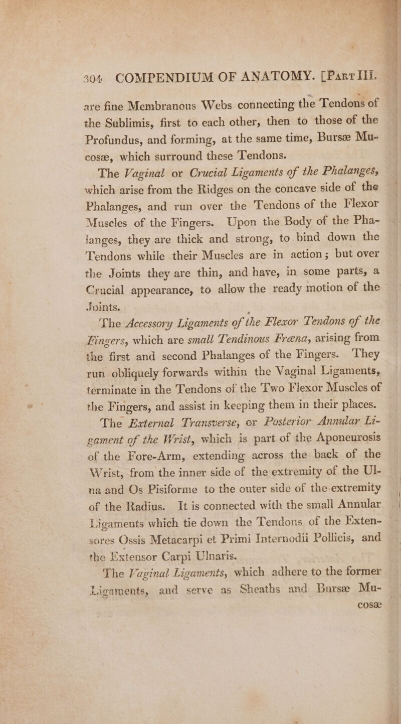 are fine Membranous Webs connecting the Tendons of the Sublimis, first to each other, then to those of the Profundus, and forming, at the same time, Burse Mu- cose, which surround these Tendons. The Vaginal or Crucial Ligaments of the Phalanges, which arise from the Ridges on the concave side of the Phalanges, and run over the Tendons of the Flexor Muscles of the Fingers. Upon the Body of the Pha- langes, they are thick and strong, to bind down the Tendons while their Muscles are in action; but over the Joints they are thin, and have, in some parts, a Crucial appearance, to allow the ready motion of the Joints. The Accessory Ligaments of the Flexor Tendons of the Fingers, which are small Tendinous Frena, arising from the first and second Phalanges of the Fingers. They run obliquely forwards within the Vaginal Ligaments, terminate in the Tendons of the Two Flexor Muscles of the Fingers, and assist in keeping them in their places. The External Transverse, or Posterior Annular Li- gament of the Wrist, which is part of the Aponeurosis of the Fore-Arm, extending across the back of the Wrist, from the inner side of the extremity of the UI- na and Os Pisiforme to the outer side of the extremity of the Radius. It is connected with the small Annular Ligaments which tie down the Tendons of the Exten- sores Ossis Metacarpi et Primi Internodii Pollicis, and the Extensor Carpi Ulnaris. The Vaginal Ligaments, which adhere to the former Ligaments, and serve as Sheaths and Bursze Mu- cosa