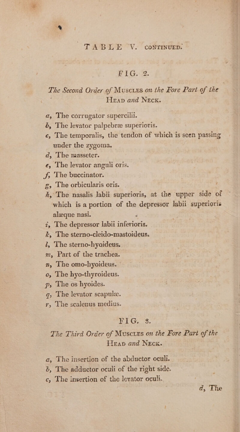 TABLE -V.. conrimven. FIG. 2. Heap and NEcK. a, The corrugator supercilil. &amp;, The levator palpebree superioris. c, The temporalis, the tendon of which is seen passing _ under the zygoma. d, The masseter. e, The levator anguli oris. J; The buccinator. . _ g, The orbicularis oris. ‘ h, The nasalis labii superioris, at the upper side of which is a portion of the depressor labii superioris alzeque nasi. 4 7, The depressor labit inferioris. k, The sterno-cleido-mastoideus. i, The sterno-hyoideus. m, Part of the trachea. 2, ‘The omo-hyoideus. o, The hyo-thyroideus. p, The os hyoides. g, The levator scapulze. r, The scalenus medius. FIG. $s. The Third Order of Muscuts on the Fore Part of the Heap and NEck. a, The insertion of the abductor oculi. 6, The adductor oculi of the right side. c, The insertion of the levator ocult.