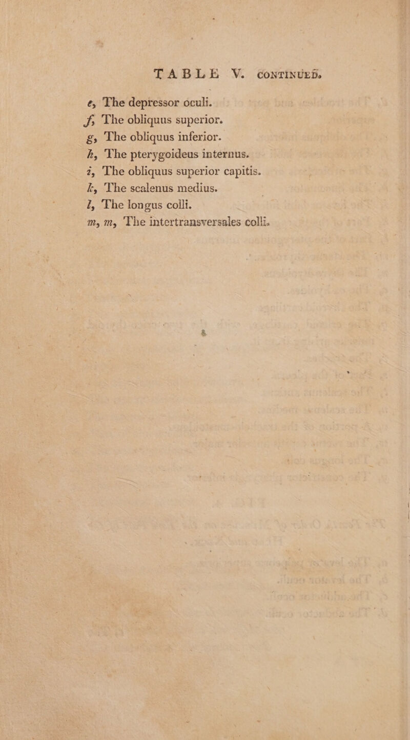 é, The depressor oculi. Ss The obliquus superior. g, The obliquus inferior. h, The pterygoideus internus. 7, The obliquus superior capitis. k, The scalenus medius. l, The longus colli. m, m, ‘The intertransversales colli.