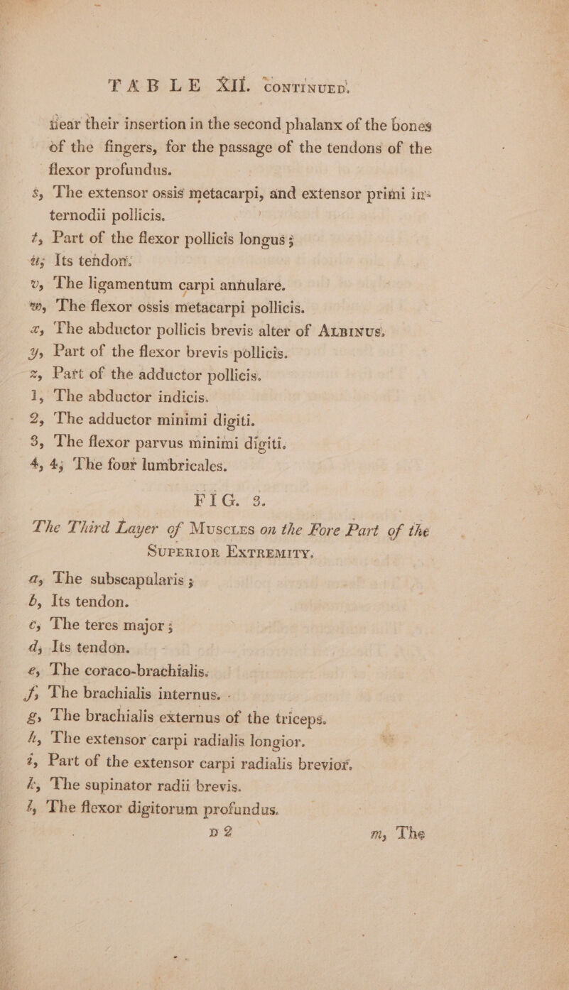 vear their insertion in the second phalanx of the bones of the fingers, for the passage of the tendons of the flexor profundus. s, The extensor ossis metacarpi, and extensor primi in ternodii pollicis. | ¢, Part of the flexor pollicis longus; ti; Its tendon: v, The ligamentum carpi annulare. %, The flexor ossis metacarpi pollicis. zy The abductor pollicis brevis alter of ALBiNus, ¥y, Part of the flexor brevis pollicis. z, Part of the adductor pollicis. 1, The abductor indicis. 2, The adductor minimi digiti. 3, The flexor parvus minimi digiti. 4,4; ‘The four lumbricales. FIG. 3. | The Third Layer of Muscuns on the Fore Part of the Surrrior Exrremiry. a, The subscapularis ; 6, Its tendon. ¢, The teres major ; d,; Its tendon. e, The coraco-brachialis, J; The brachialis internus. - g, The brachialis externus of the triceps. h, The extensor carpi radialis longior. 2, Part of the extensor carpi radialis brevior. #, The supinator radii brevis. 4, The flexor digitorum profundus. ele m, The