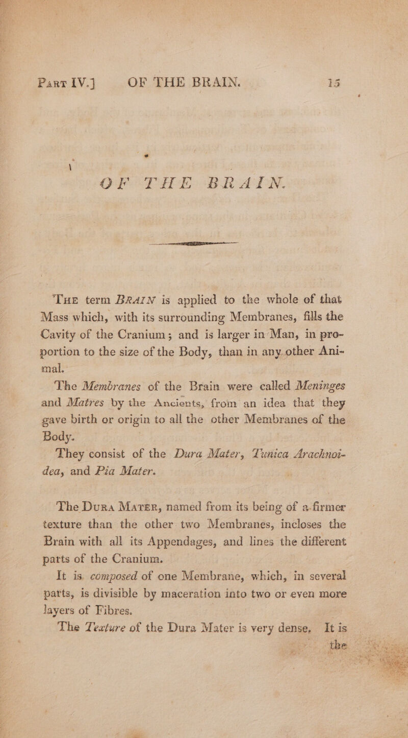 ; | PanrIV.] OF THE BRAIN. 13 € OF THE BRAIN. Tue term BrarN is applied to the whole of that Mass which, with its surrounding Membranes, fills the Cavity of the Cranium; and is larger in Man, in pro- portion to the size of the Body, than in any..other Ani- mal. The Membranes of the Brain were called Meninges and Matres by the Ancients, from an idea that they gave birth or origin to all the other Membranes of the Body. : They consist of the Dura Mater, Tunica Arachnoi- dea, and Pia Mater. The Dura Mater, named from its being of a firmer texture than the other two Membranes, incloses the Brain with all its Appendages, and lines the different parts of the Cranium. It is. composed of one Membrane, which, in several | parts, is divisible by maceration into two or even more layers of Fibres. , The Texture of the Dura Mater is very dense, Itis = So Hee 0 ae eae 1 Re