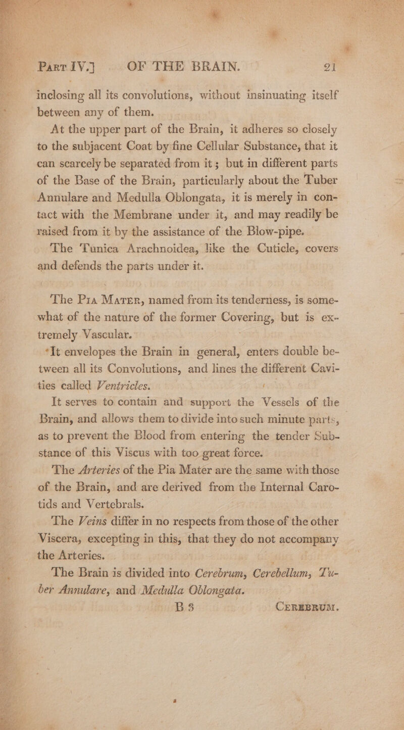 inclosing all its convolutions, without insinuating itself between any of them. At the upper part of the Brain, it adheres so closely to the subjacent Coat by fine Cellular Substance, that it can scarcely be separated from it; but in different parts of the Base of the Brain, particularly about the Tuber Annulare and Medulla Oblongata, it is merely in con- tact with the Membrane under it, and may readily be raised from it by the assistance of the Blow-pipe. The Tunica Arachnoidea, like the Cuticle, covers and defends the parts under it. The Pra Mater, named from its tenderness, is some- what of the nature of the former Covering, but is ex- tremely Vascular. “It envelopes the Brain in general, enters double be- tween all its Convolutions, and lines the different Cavi- ties called Ventricles. ; ie It serves to contain and support the Vessels of the Brain, and allows them to divide into such minute parts, , as to prevent the Blood from entering the tender — stance of this Viscus with too great force. | The Arteries of the Pia Mater are the same with those of the Brain, and are derived from the Internal Caro- tids and Vertebrals. The Veins differ in no respects from those of the other Viscera, excepting in thea that they do not score the Arteries. : The Brain is divided into eis Cerebdiam, Tue ber Annulare, and Medulla Oblongata. B83 % CEREBRUM.